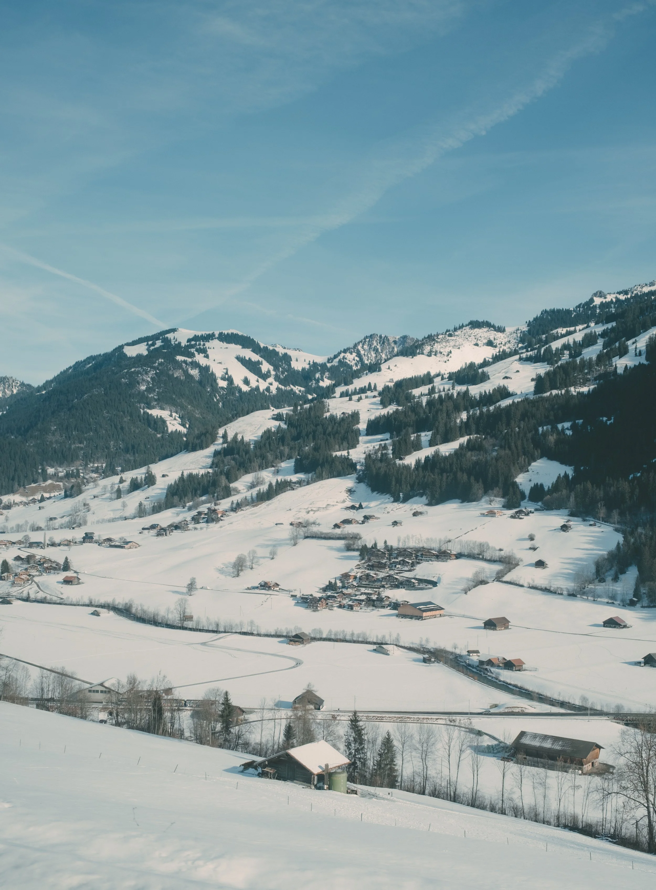 GGGStaaad @thisistimothy -21.jpg