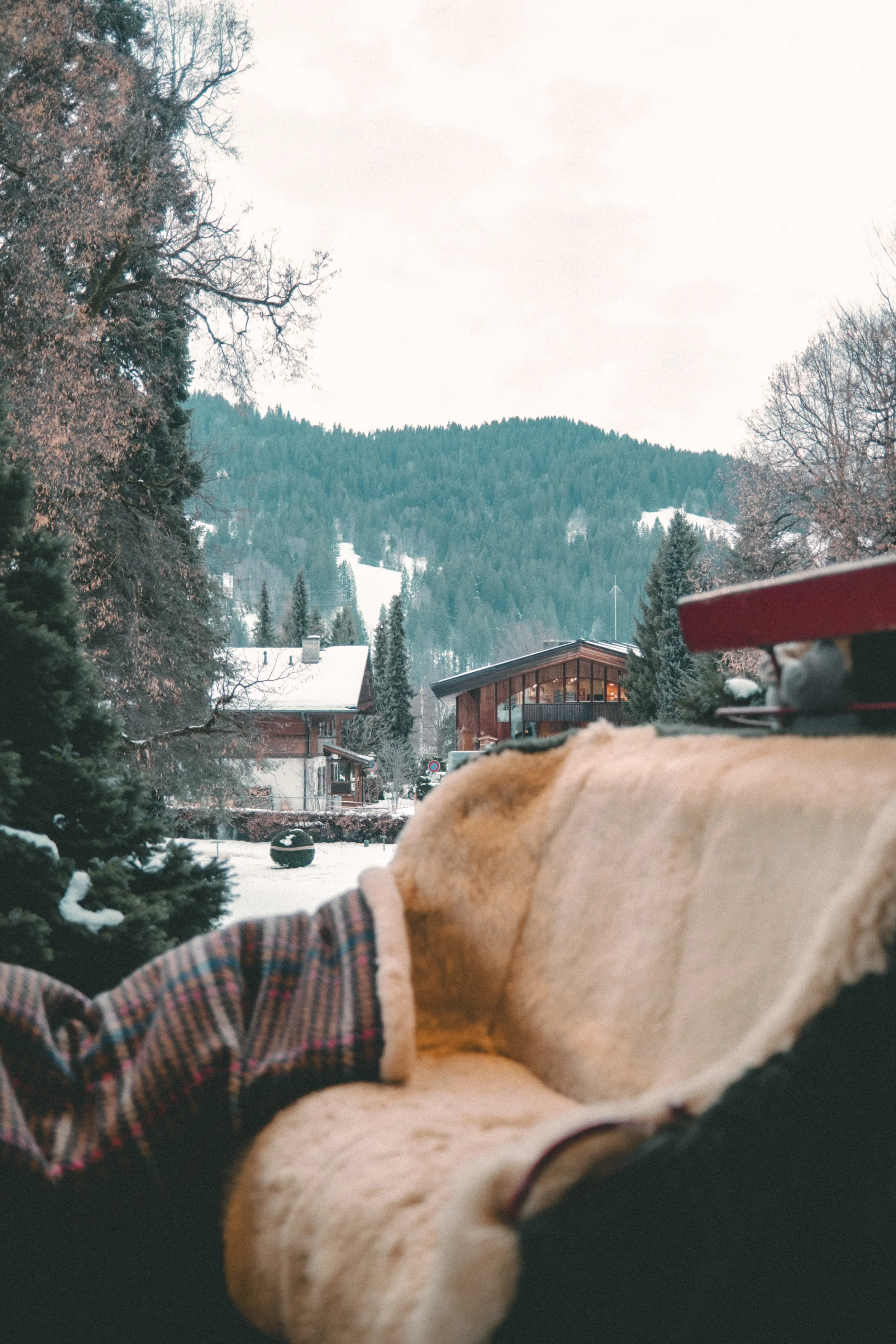 GGGStaaad @thisistimothy -49.jpg