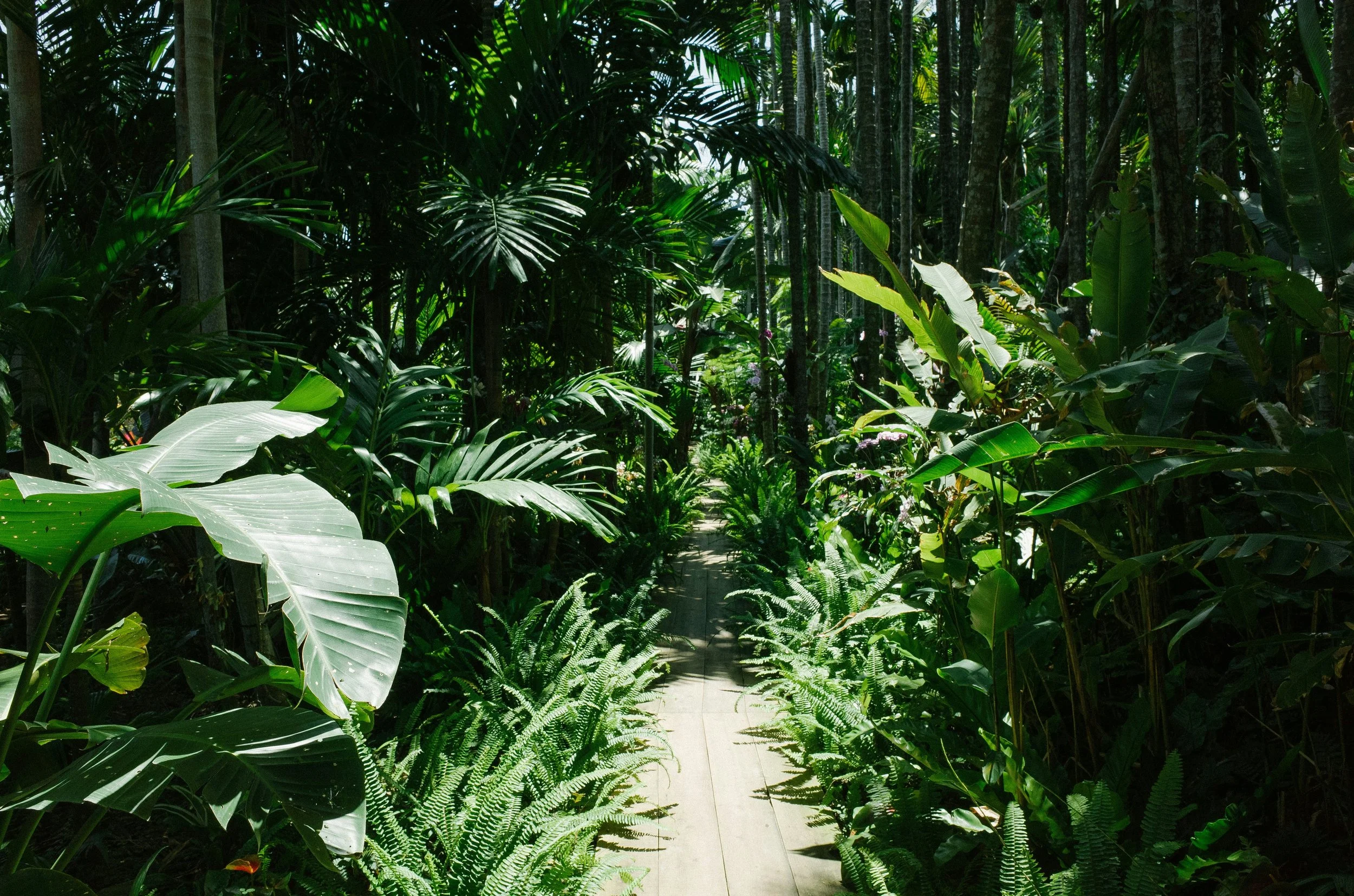 MY HAPPY PLACE - The Botanical Gardens of Naples