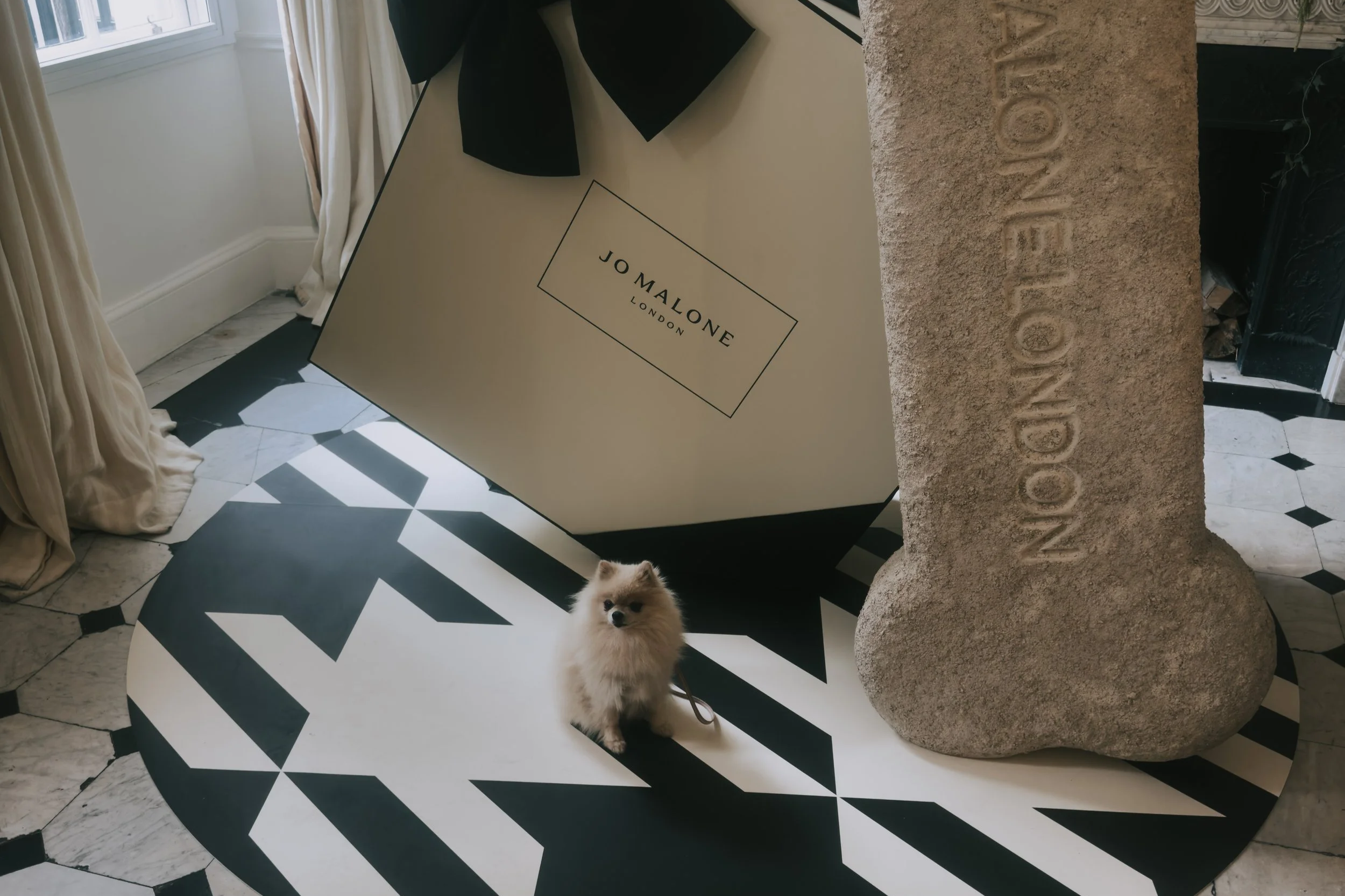 Jo Malone London Launches a Luxury Dog Shampoo with WildWash