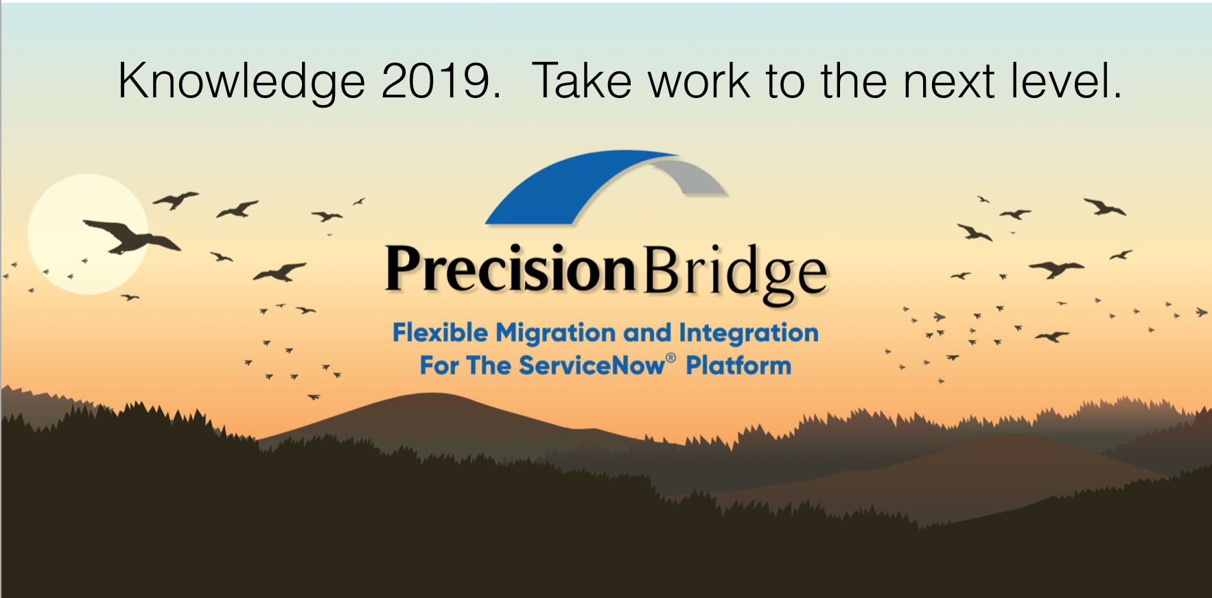 Knowledge 19 Precision Bridge Graphic.png
