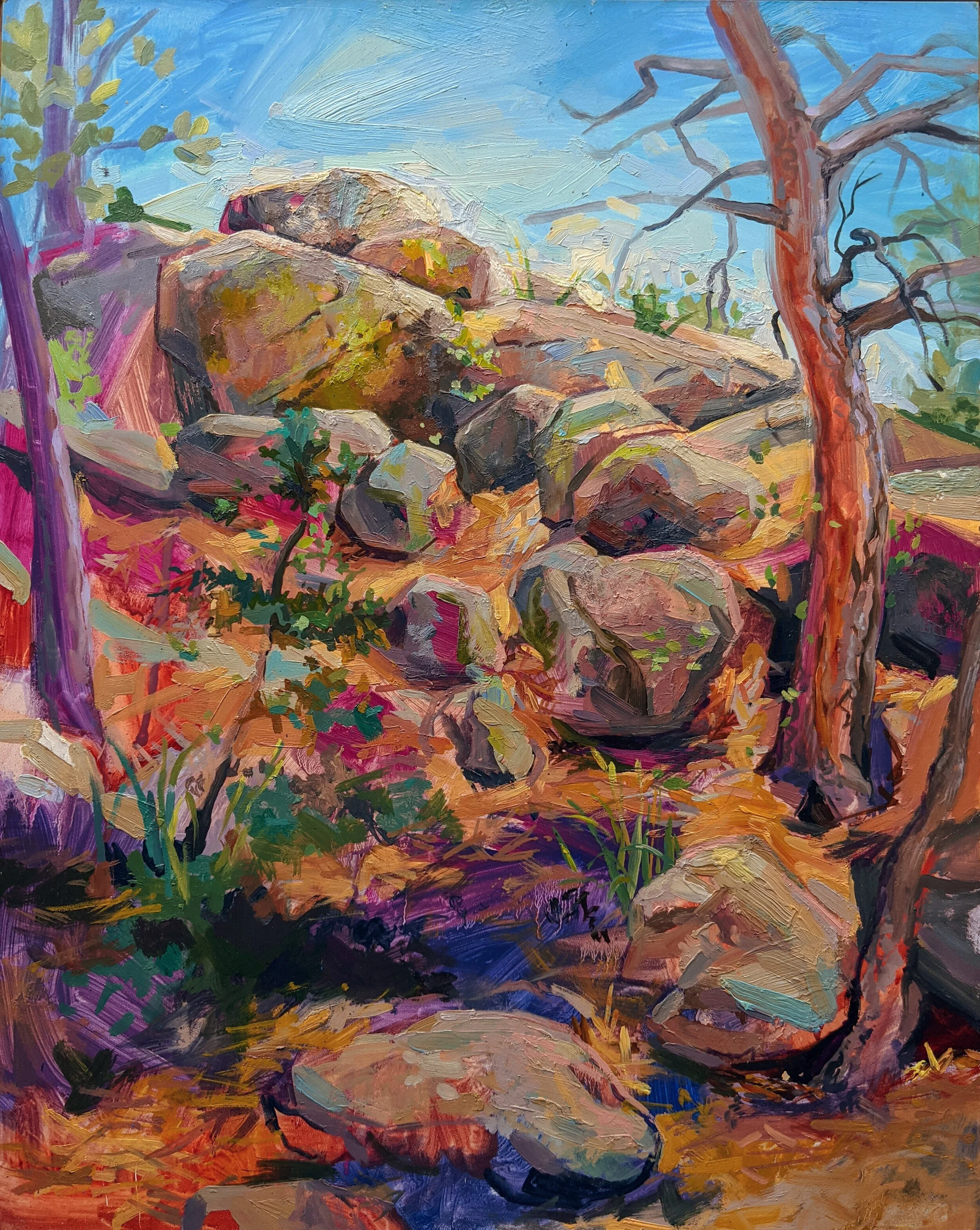 (study) Rock Rivulus