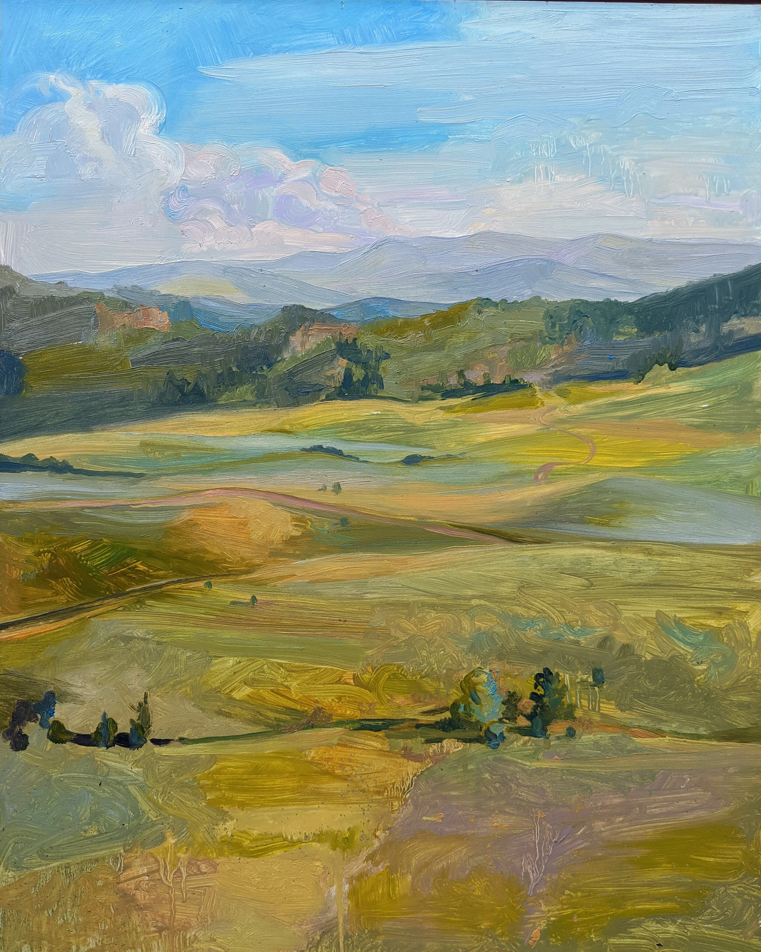 (study) View of the Meadow and the Rockies Beyond