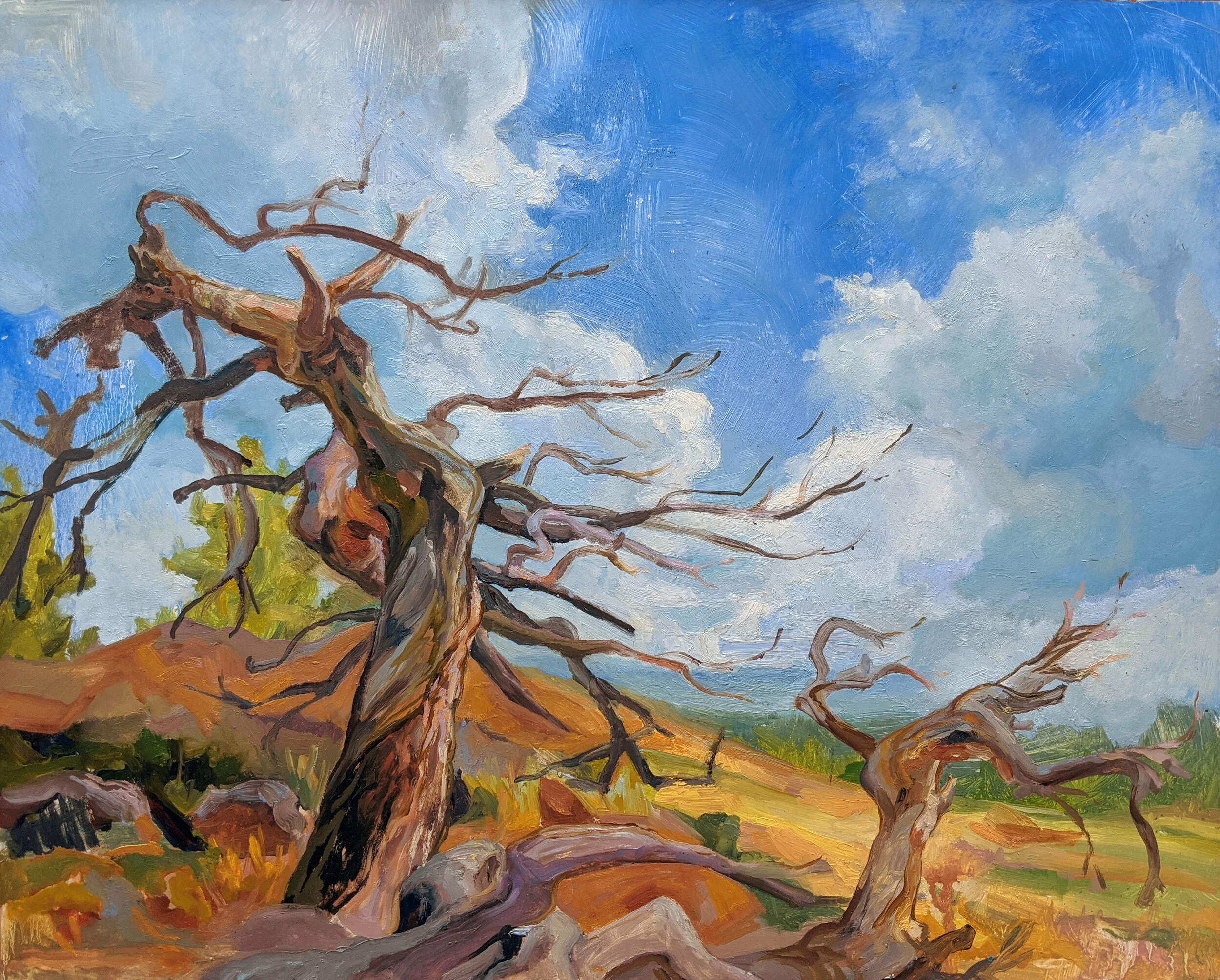 (study) Caitlin's Tree