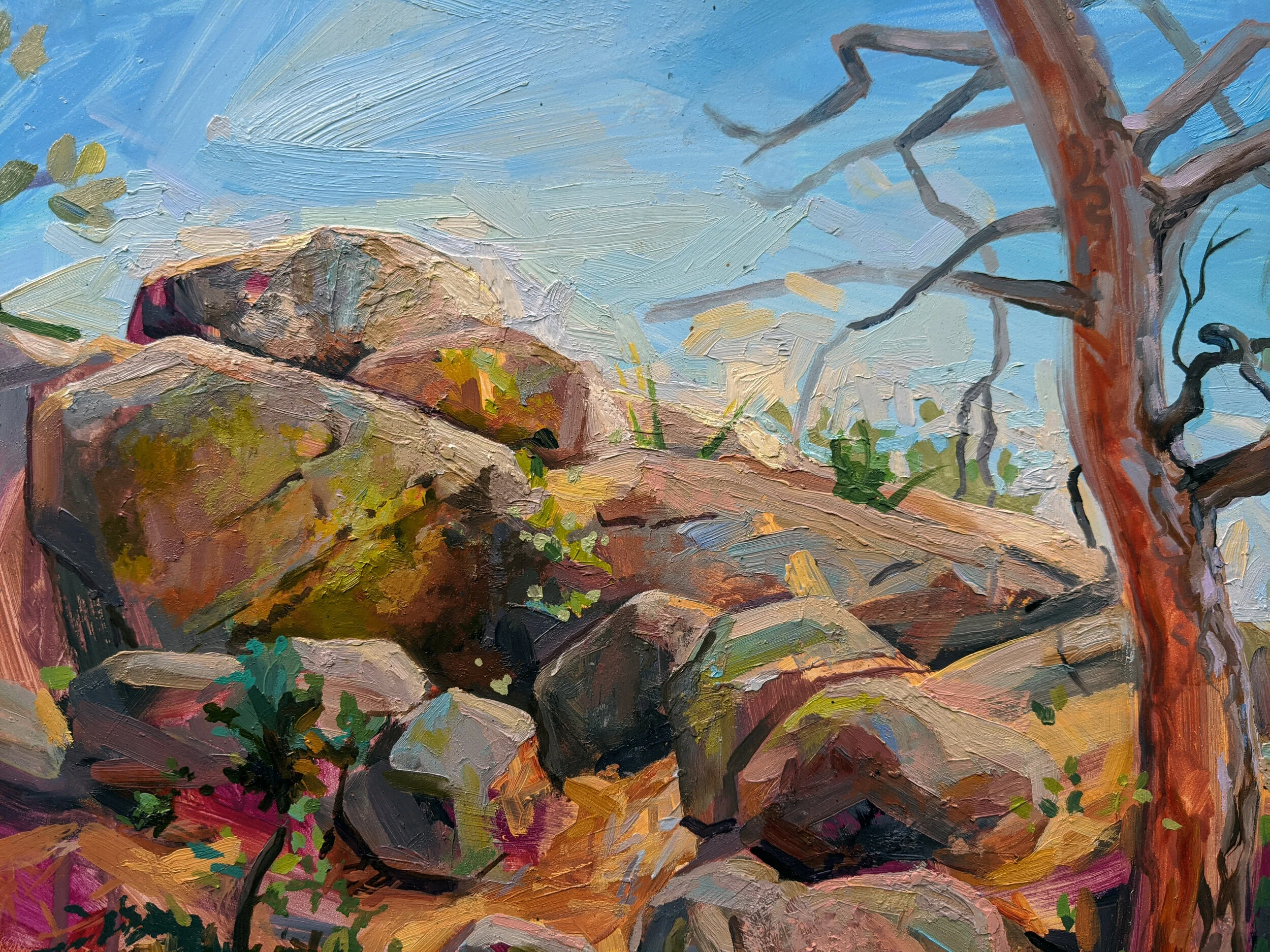 CarmichaelBraun-Charis_ArtistsOffGrid_RockRivulus_DETAIL-topright.jpg