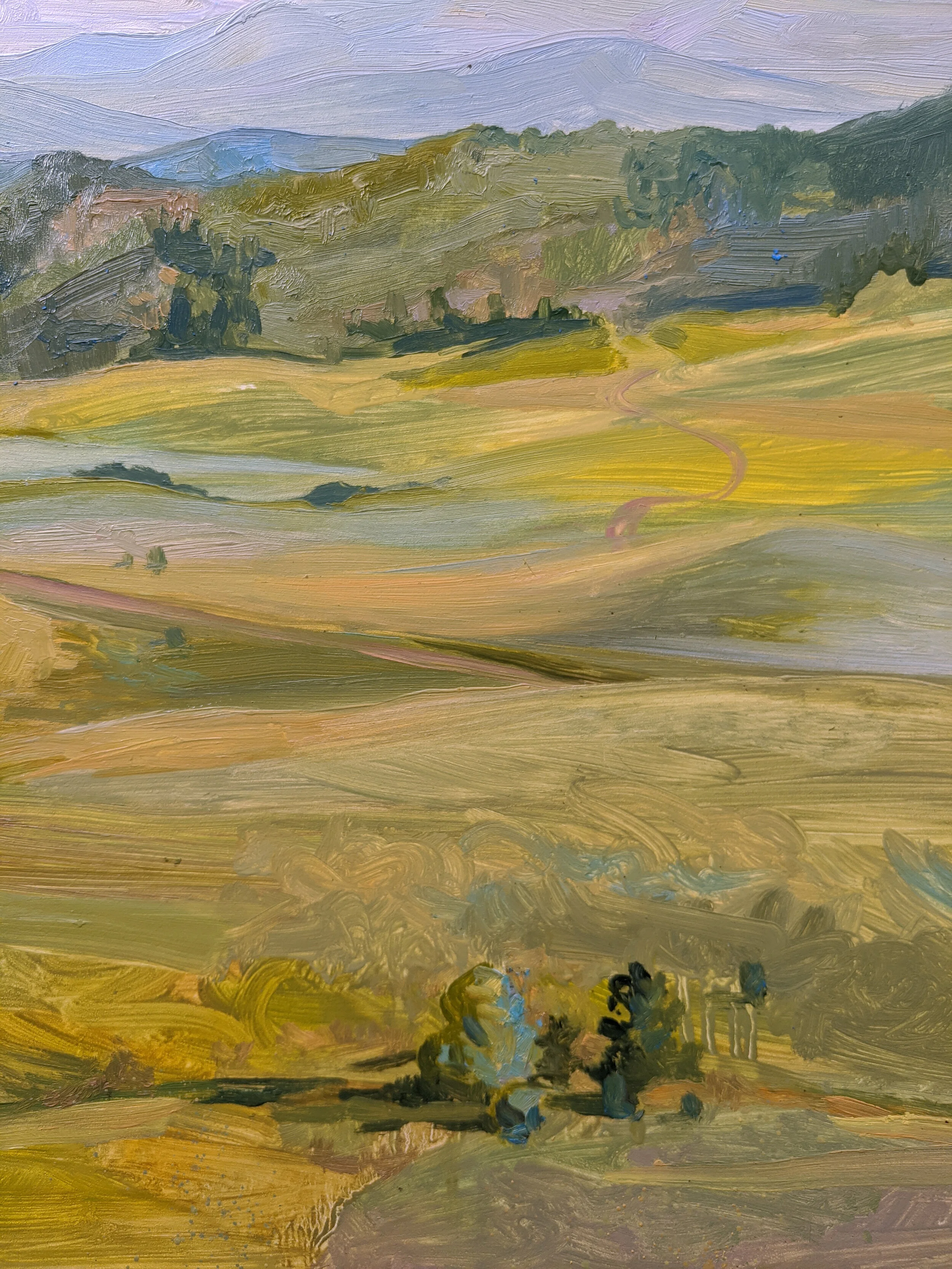 CarmichaelBraun-Charis_ArtistsOffGrid_ViewOfTheMeadow_DETAIL-bottomright.jpg