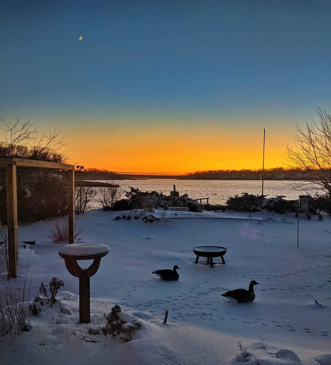 Feeling spicy, so I'll post a stunning snow-blanketed sunset with peaceful geese napping in the backyard. Doesn't really fit conceptually in my whole feed, (believe it or not, I do curate the appearance of my grid - have a look, there's a rhythm!) bu