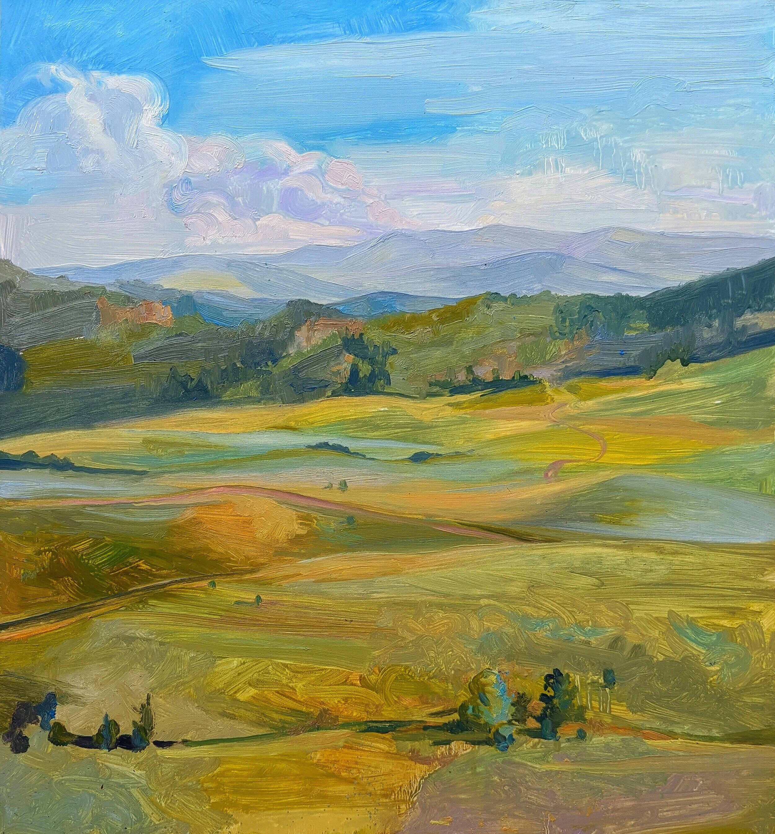 CarmichaelBraun-Charis_ArtistsOffGrid_Study-ViewOfTheMeadowAndTheRockiesBeyond_2018_oilonpanel_16x20in.jpg