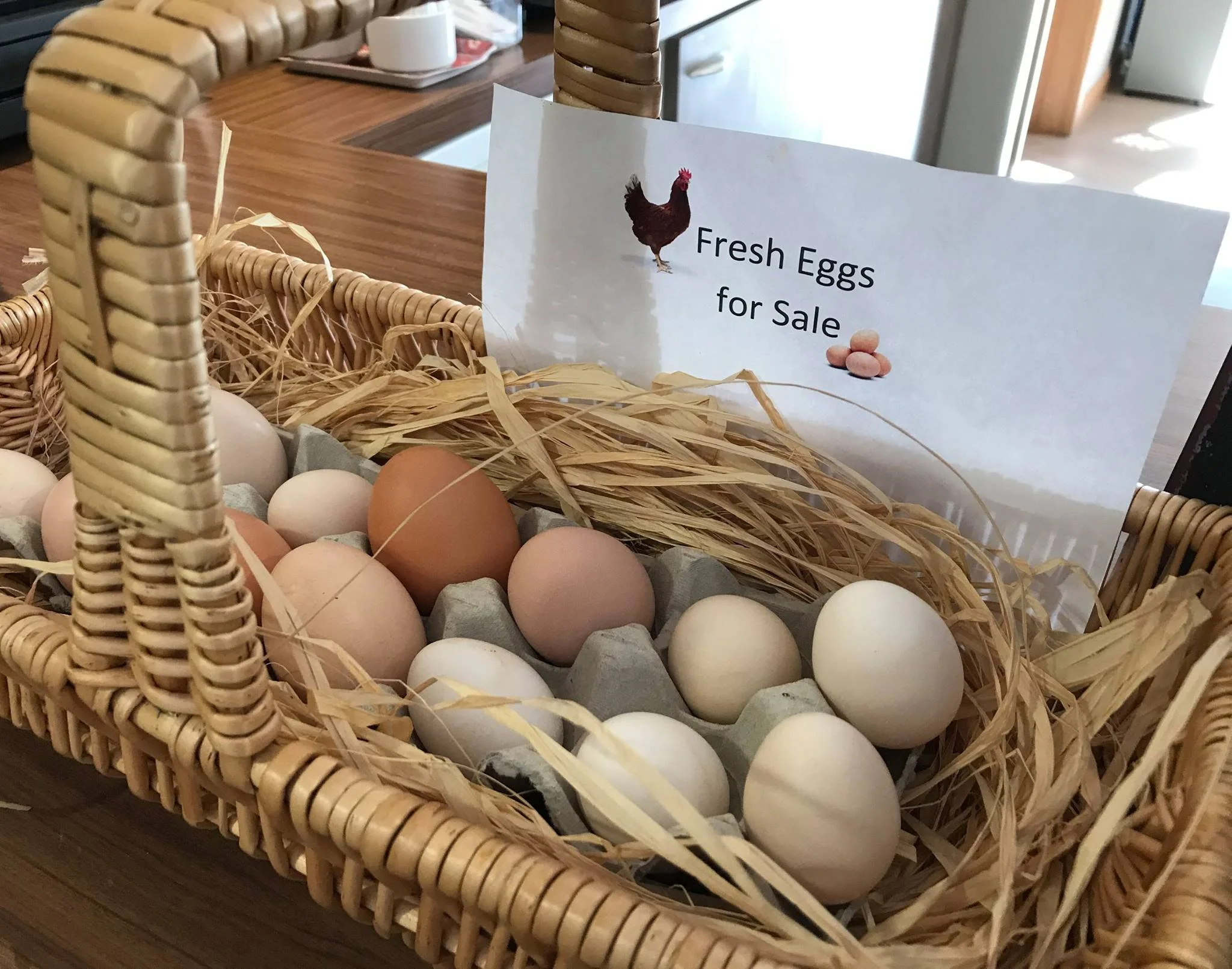 Field lodge eggs.jpg
