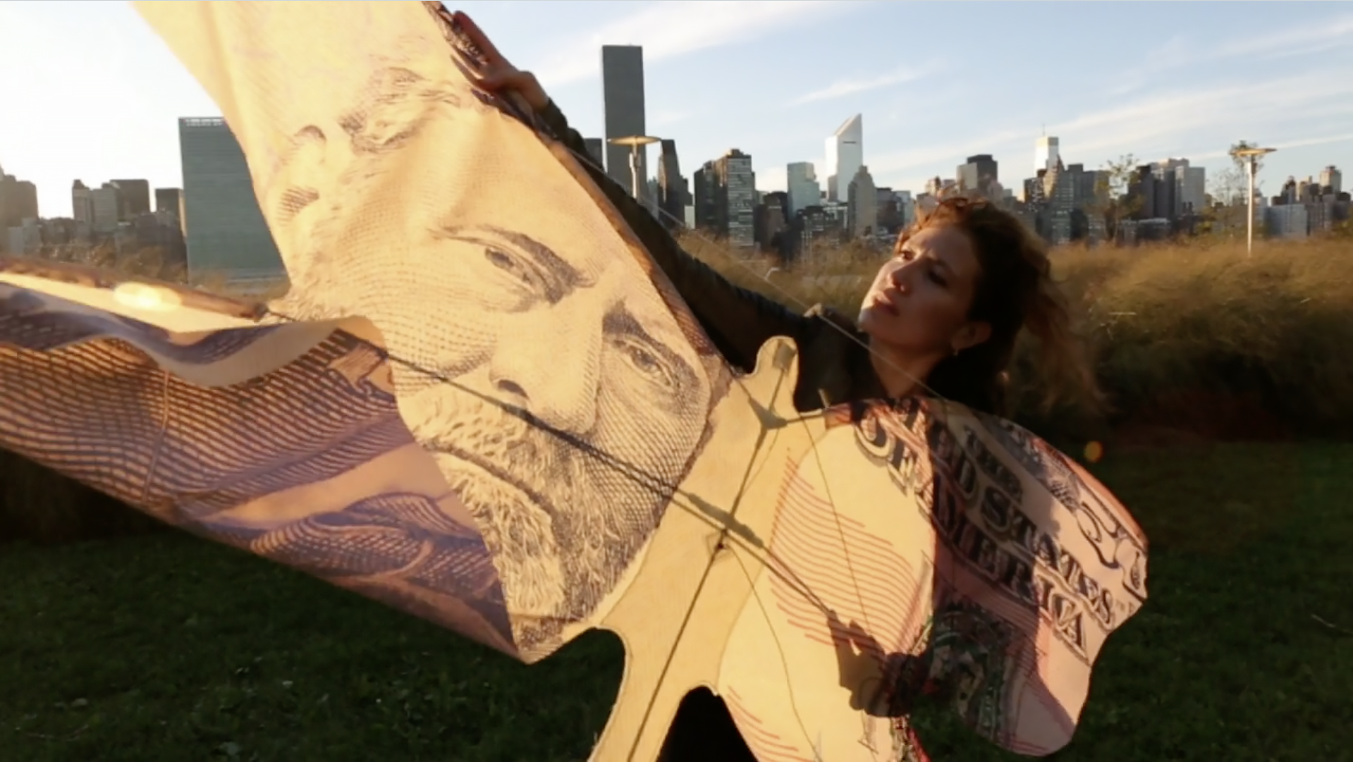 Currency Butterfly.png