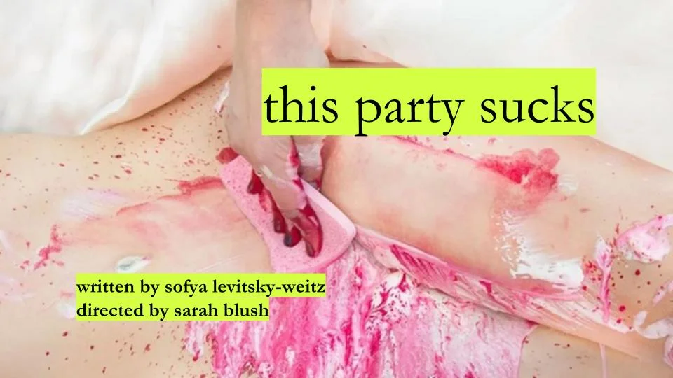 this party sucks poster .jpg
