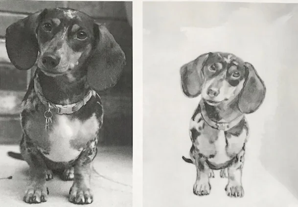 dachshund for web.jpg