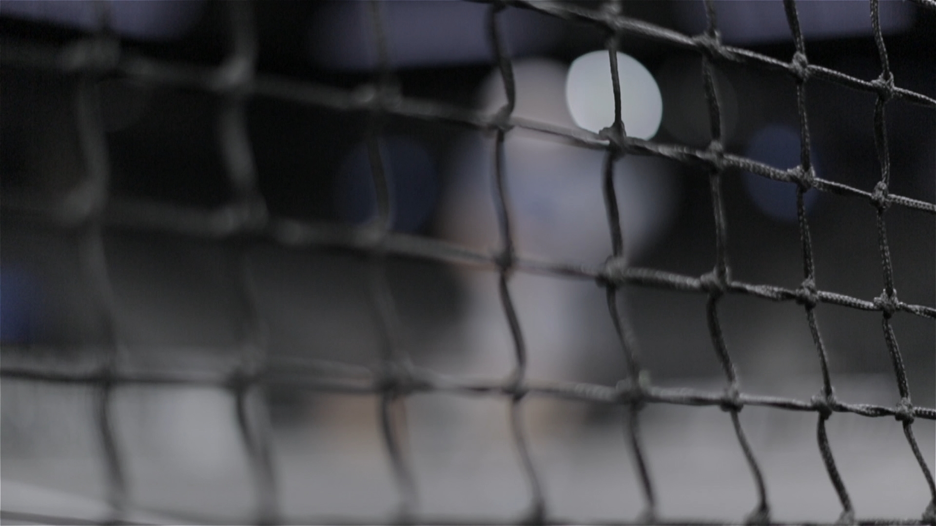 RODDICK_BROLL_BROOKLYN_5D_MOVI.jpg