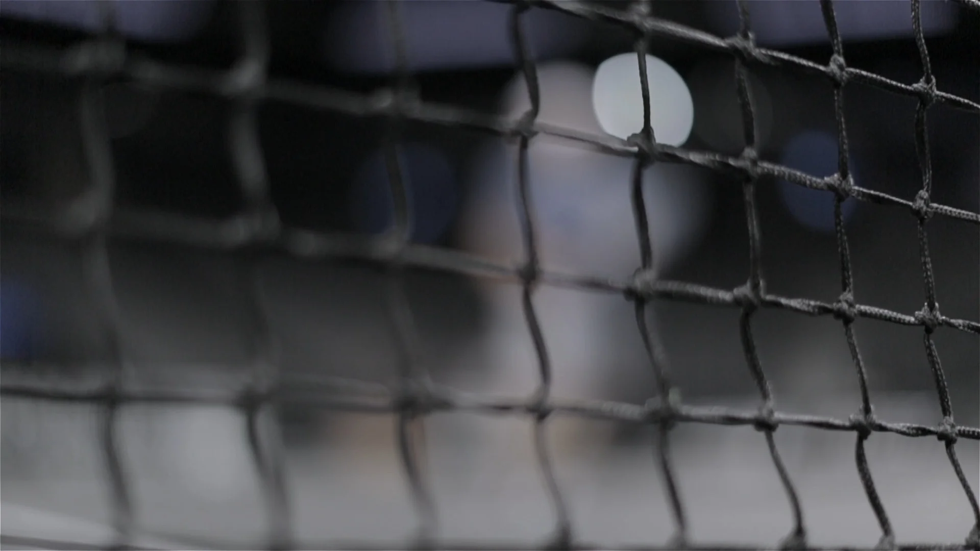 RODDICK_BROLL_BROOKLYN_5D_MOVI.jpg