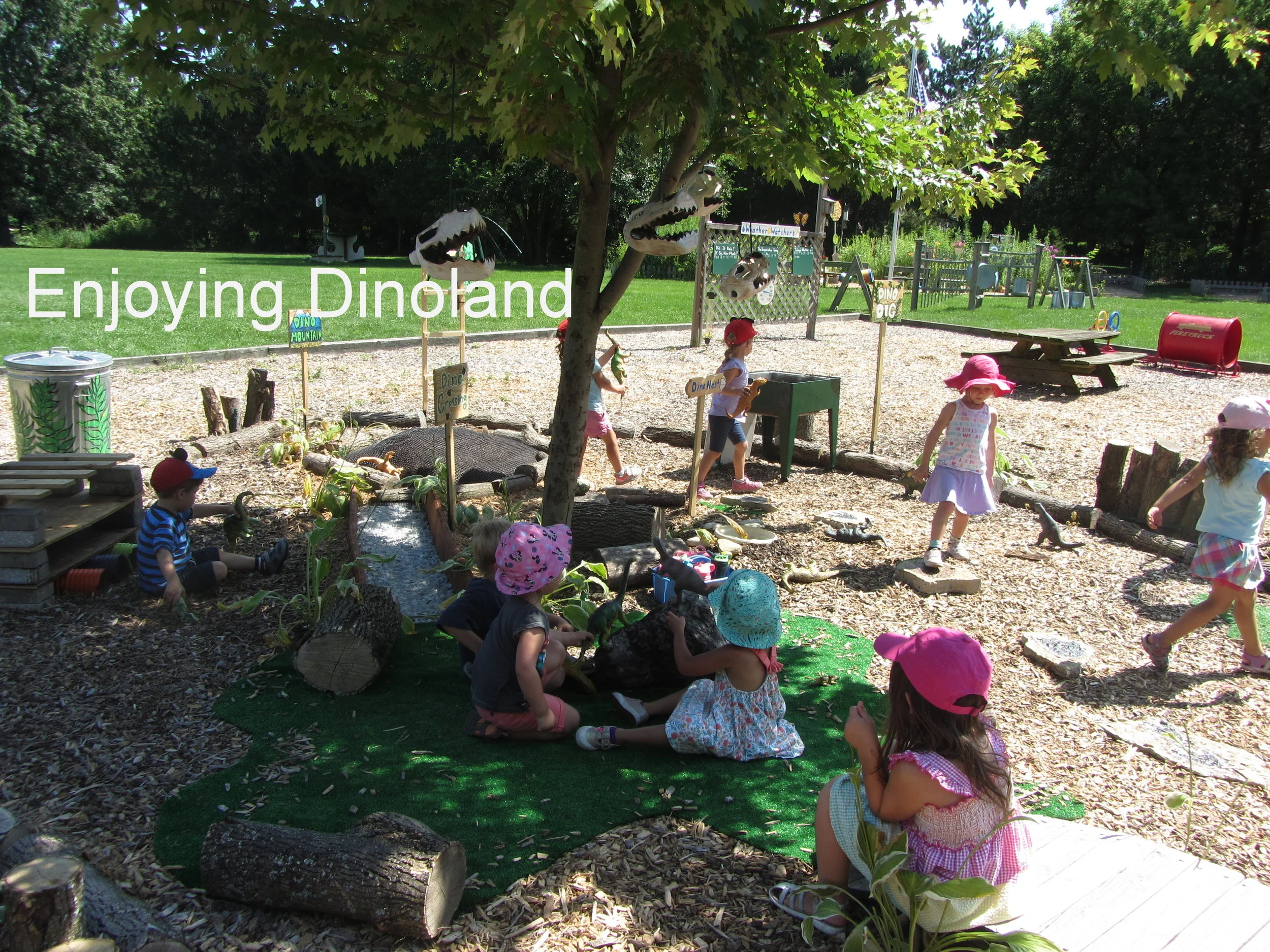 4 Dinoland - Enjoying.JPG