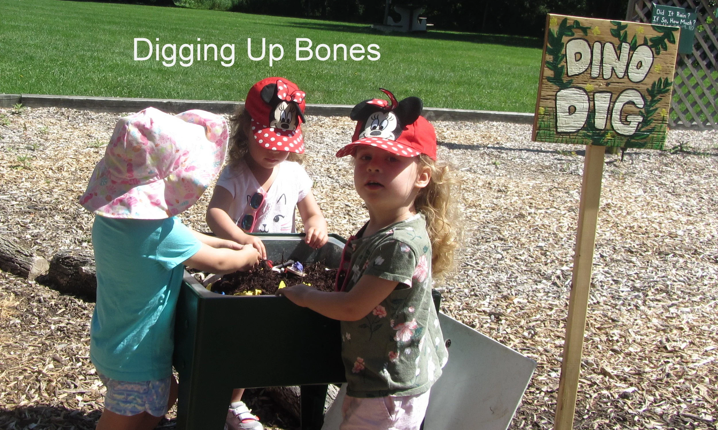 Dinoland - Digging Up Bones.JPG