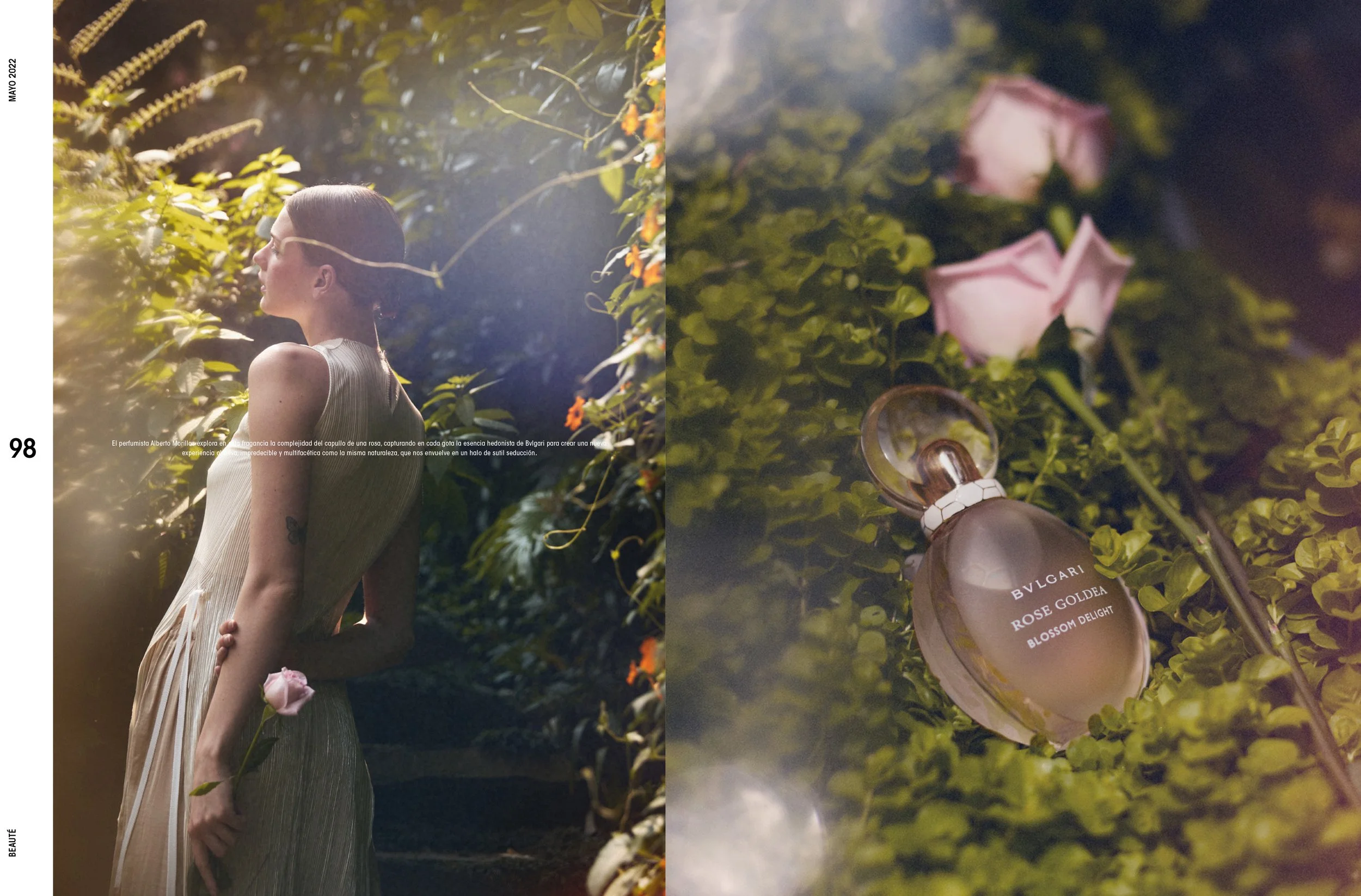 Well Bvlgari Beaut´e-LO83-2.jpg