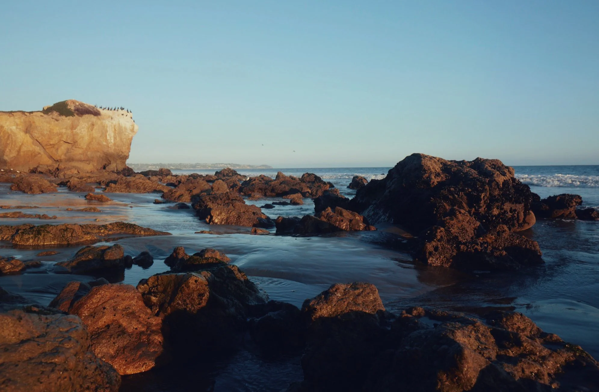 JPEG image-3AB86D98608D-1.jpeg