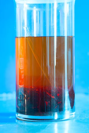 The ambergris begins to dissolve as it sits in the alcohol.