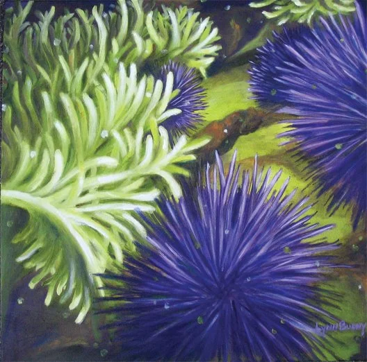 Contrast - Sea Anemone & Urchins | SOLD