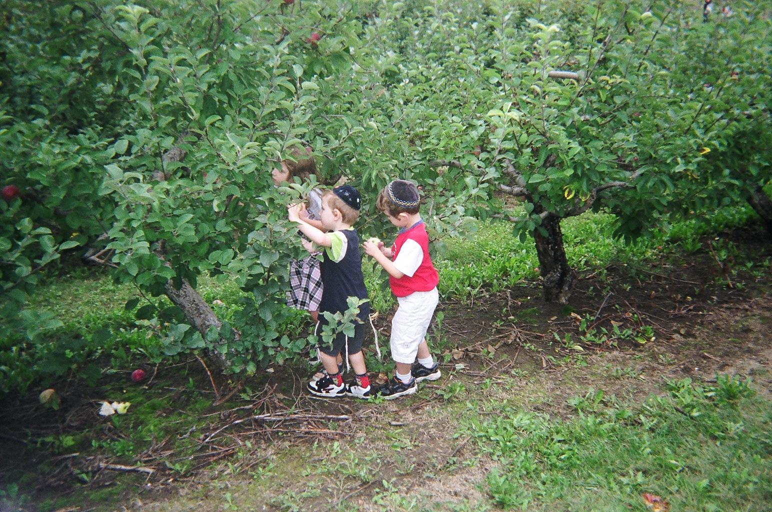 Copy of hoffer kids.jpg