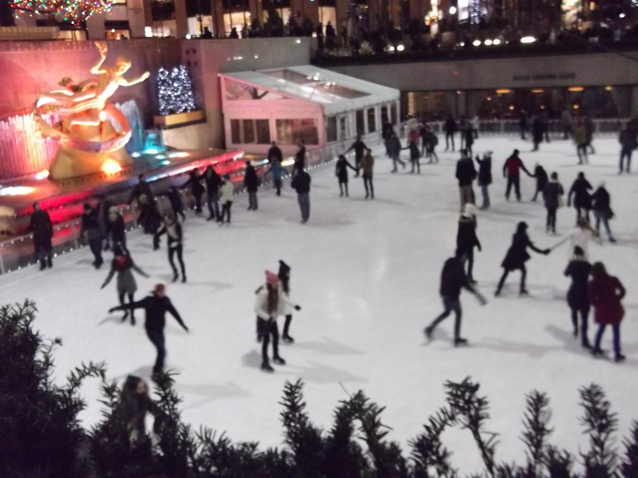 DSCF5172.JPG