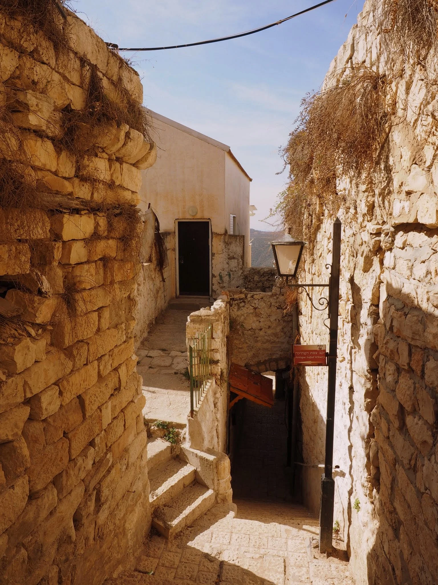PB110116.JPG
