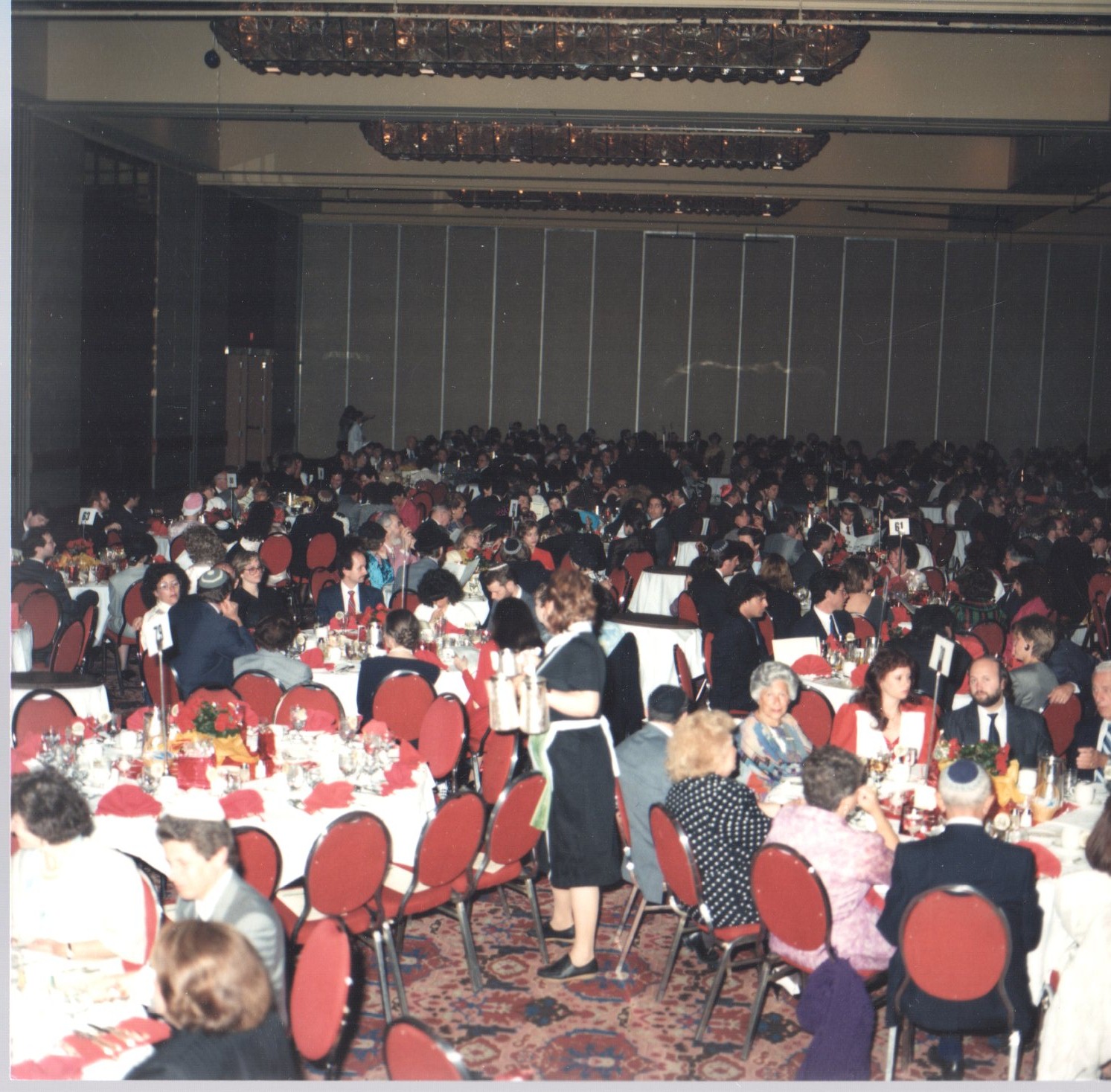 scan289.jpg