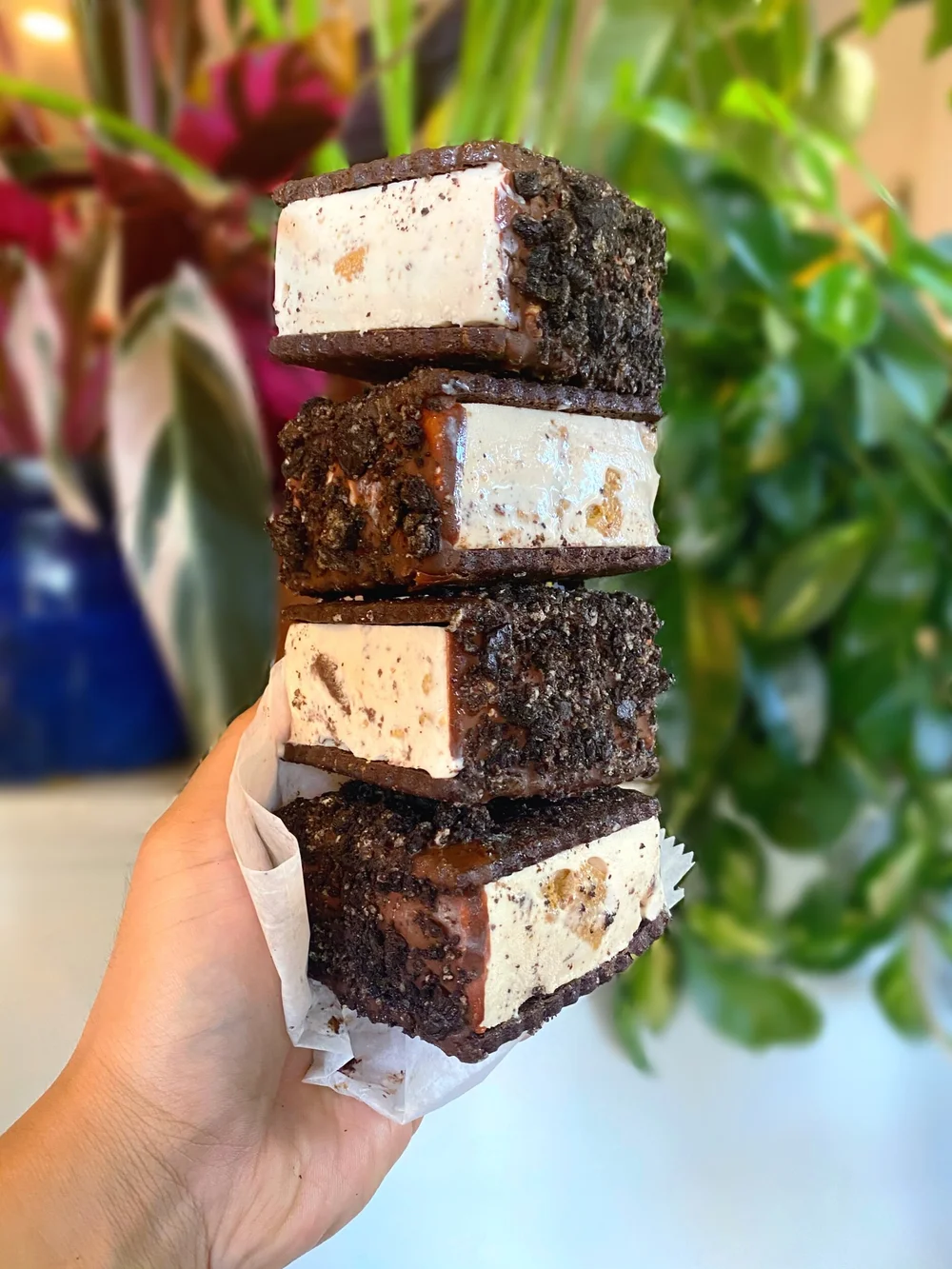 “Cookie Compost” Ice Cream Sandwich — Tricycle Ice Cream