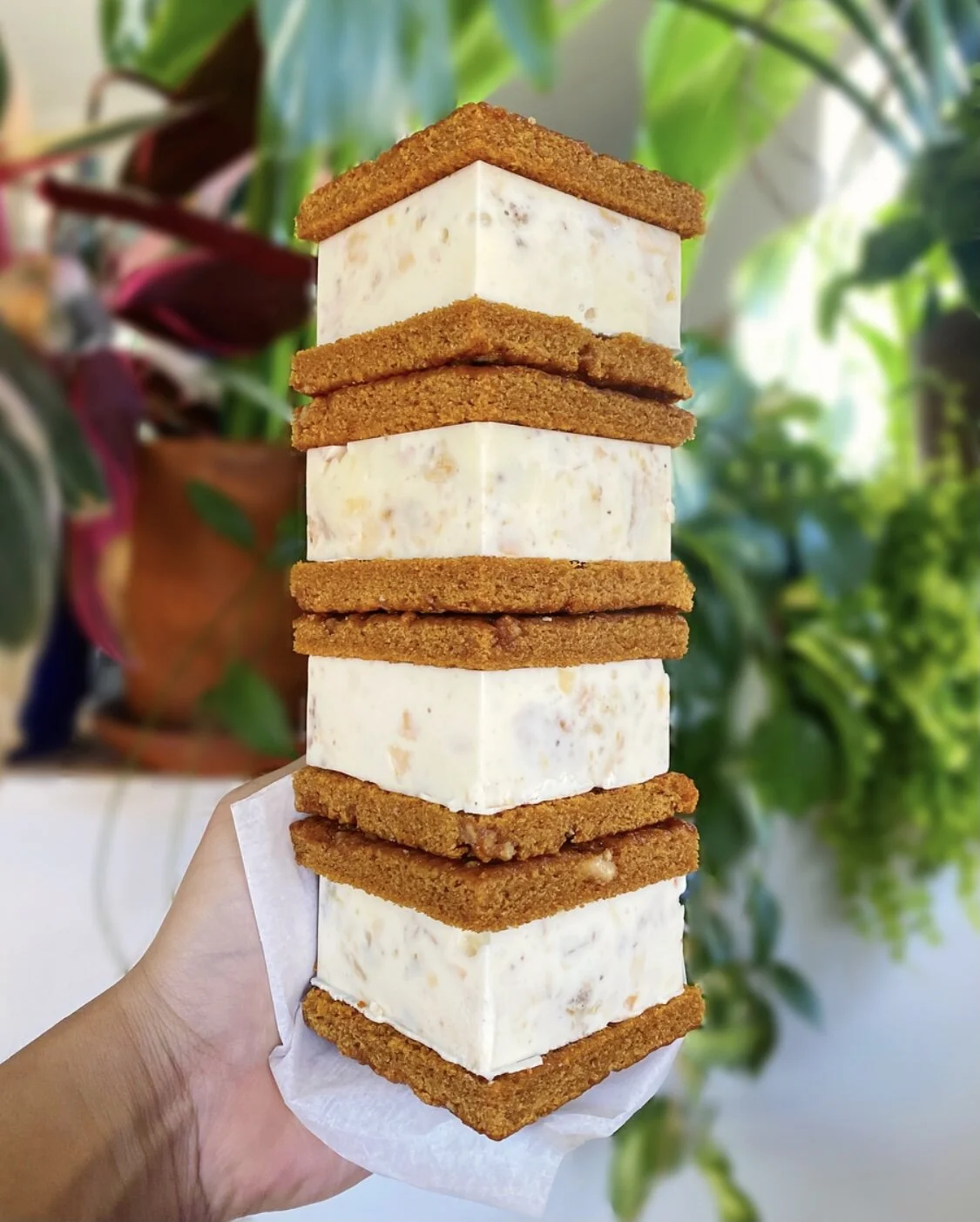 31404292-2846-4768-B45B-BB4C834037D9