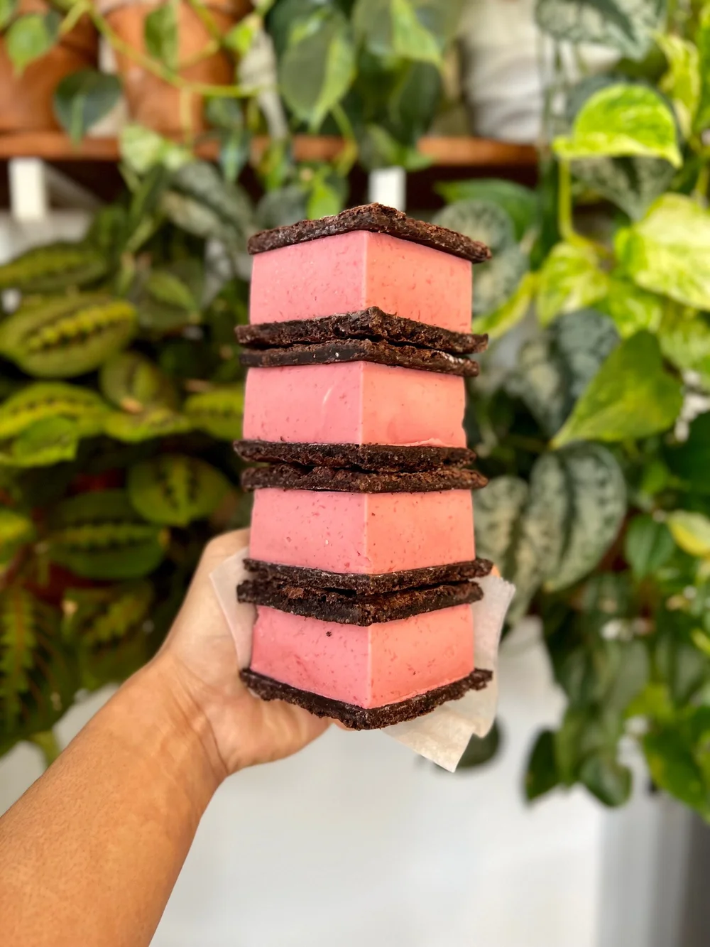 Dairy Wheat-Free Fresh Strawberry Ice Cream Sandwich