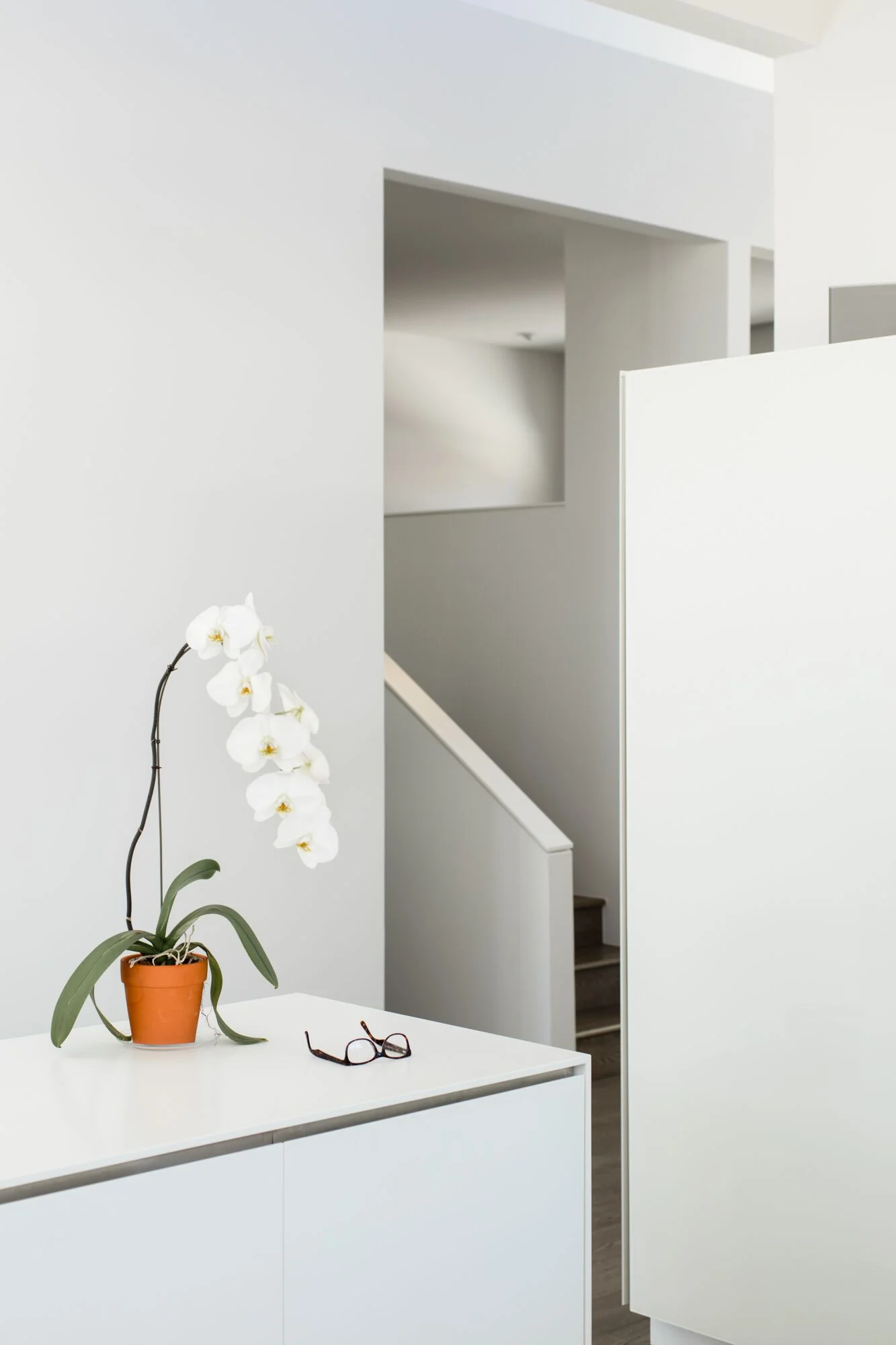 BOSS 300 GAYLORD FINALS_04_preview.jpeg