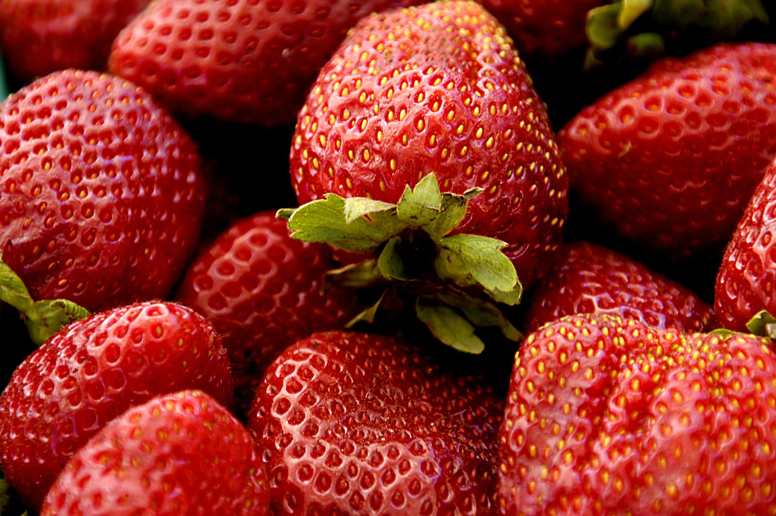 Going Organic?  Try These Money Saving Tips