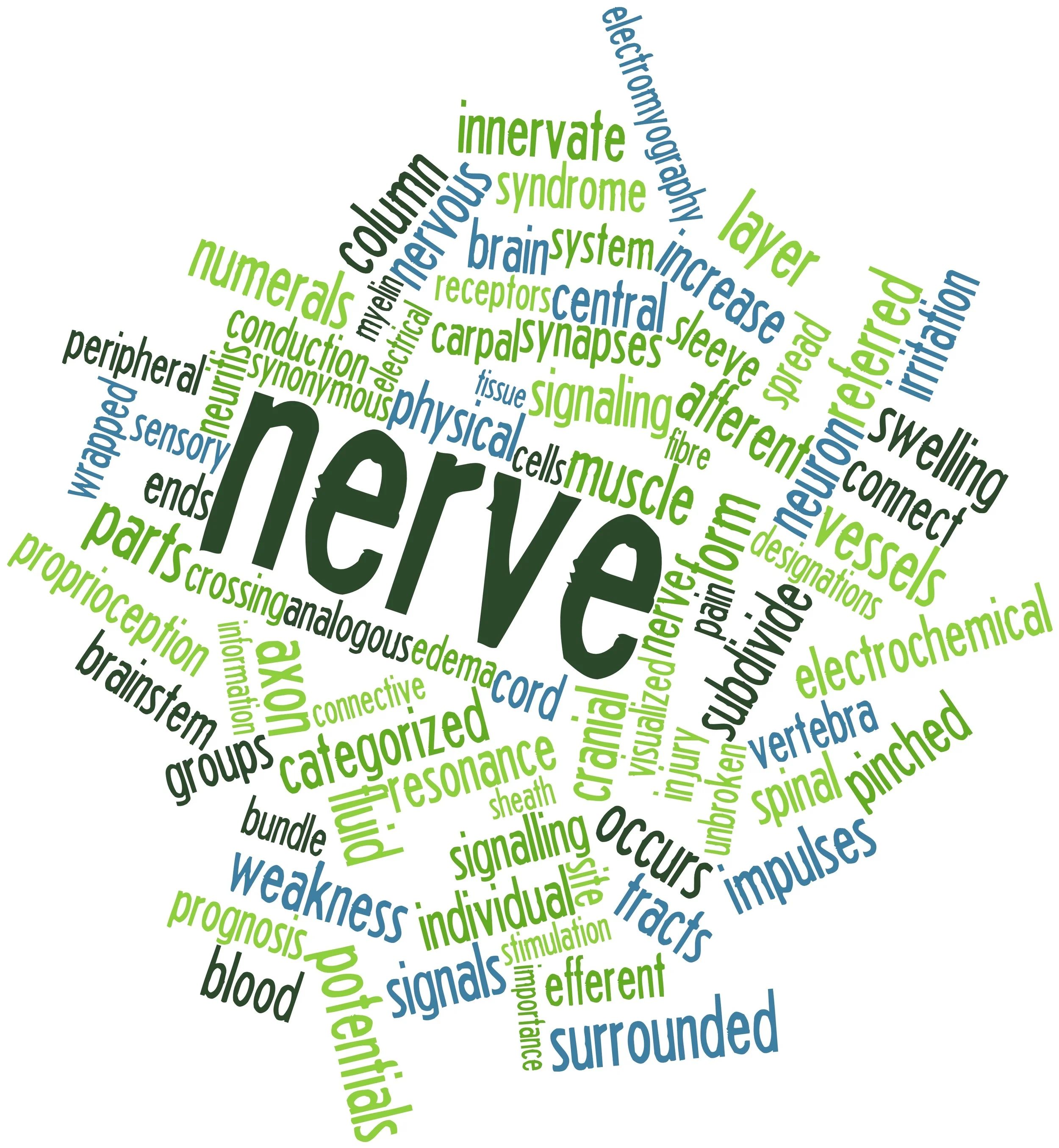 Numbness and Tingling after a Car Accident - Nashville Chiropractor