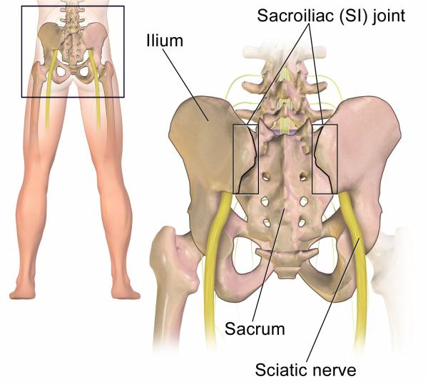 Sacroiliac Joint Pain Treatment — Chiropractor Nashville, TN - Cold Laser, Auto Injuries