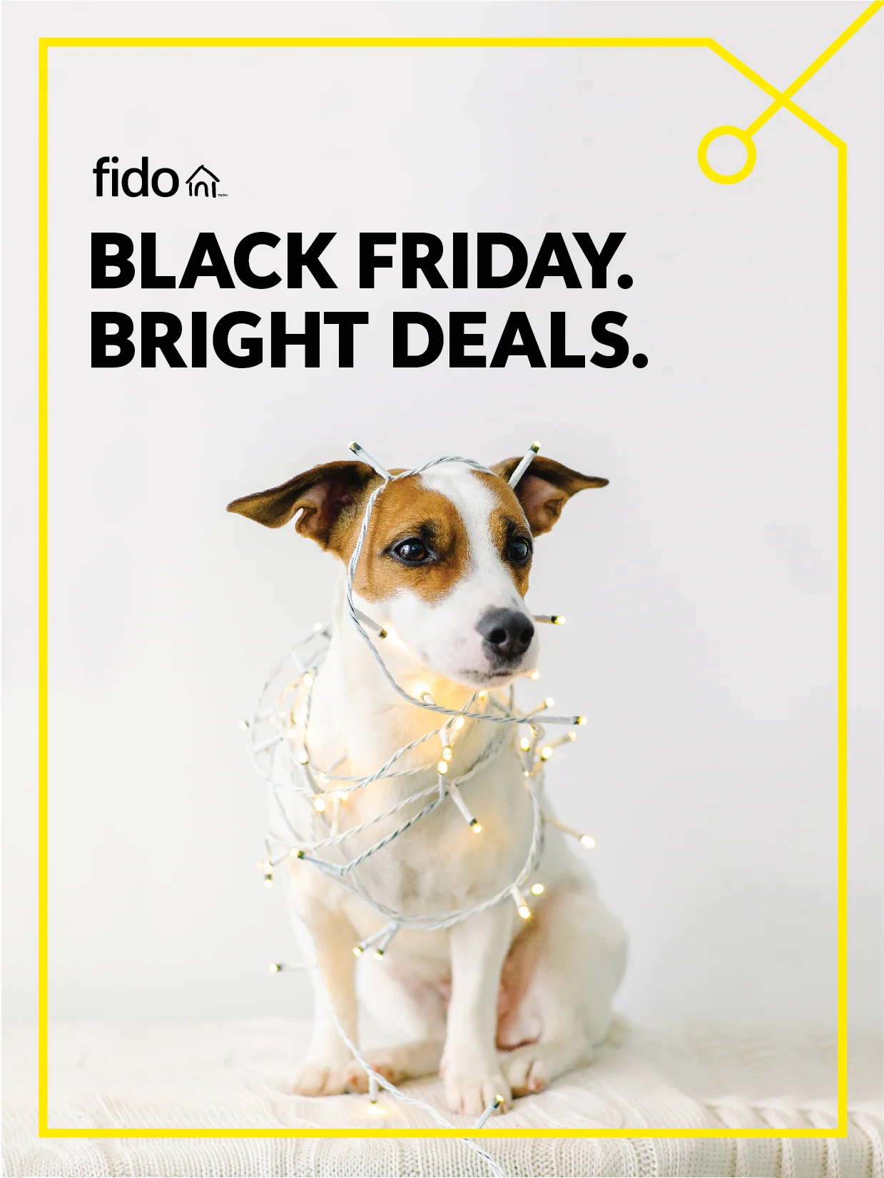 Fido_Artwork-07.jpg
