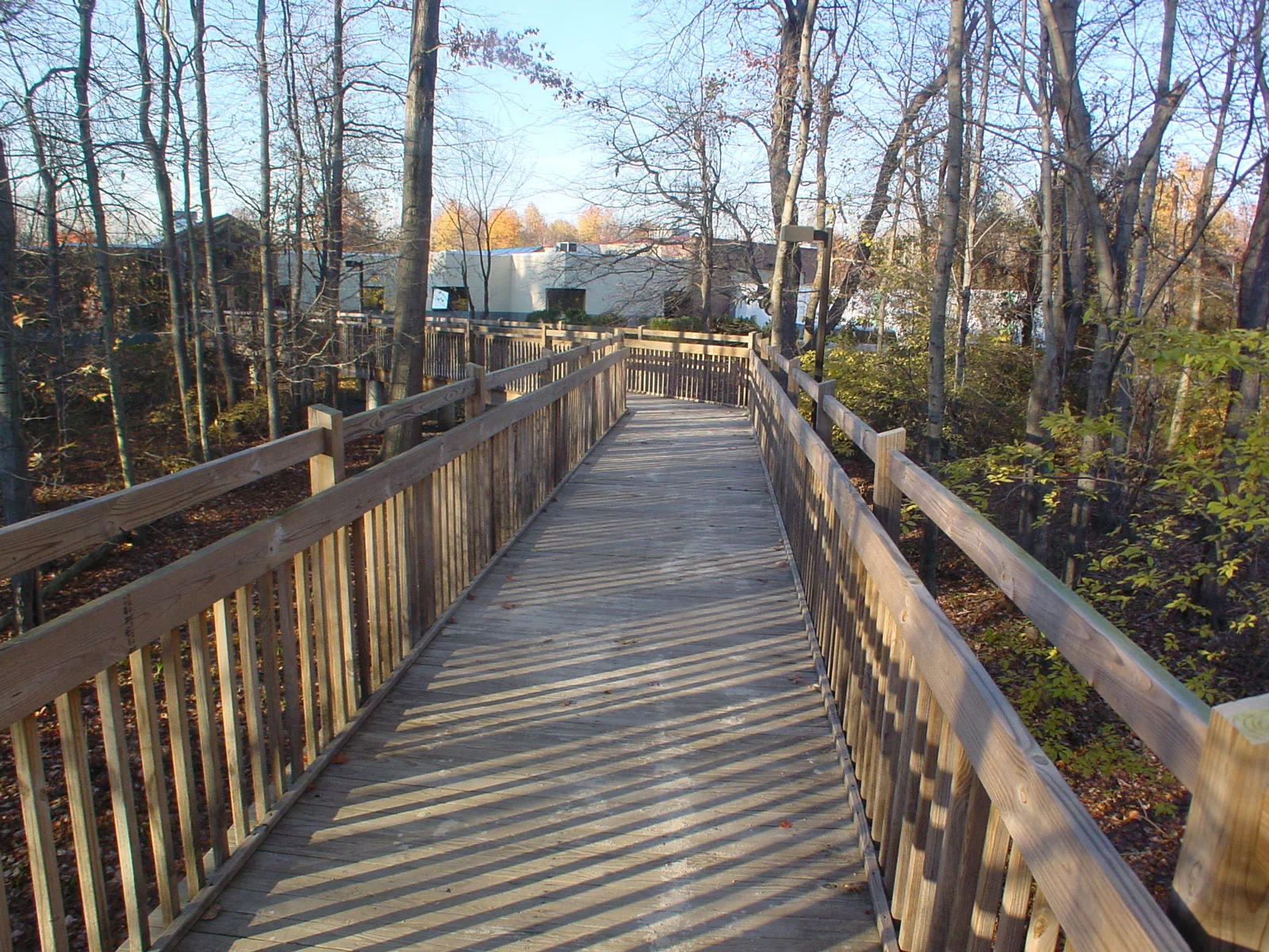 The wetlands were protected by separating the building from the parking lot with this boardwalk through the woods. Both the sighted and unsighted enjoy a walk in the woods and the wide berth allows guide dogs to pass.