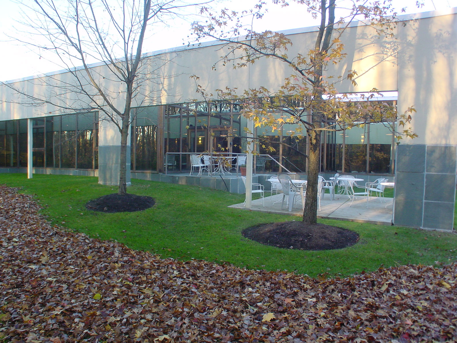 The building wall embraces an outdoor eating area providing a sense of enclosure with the freedom of a wall-less room.