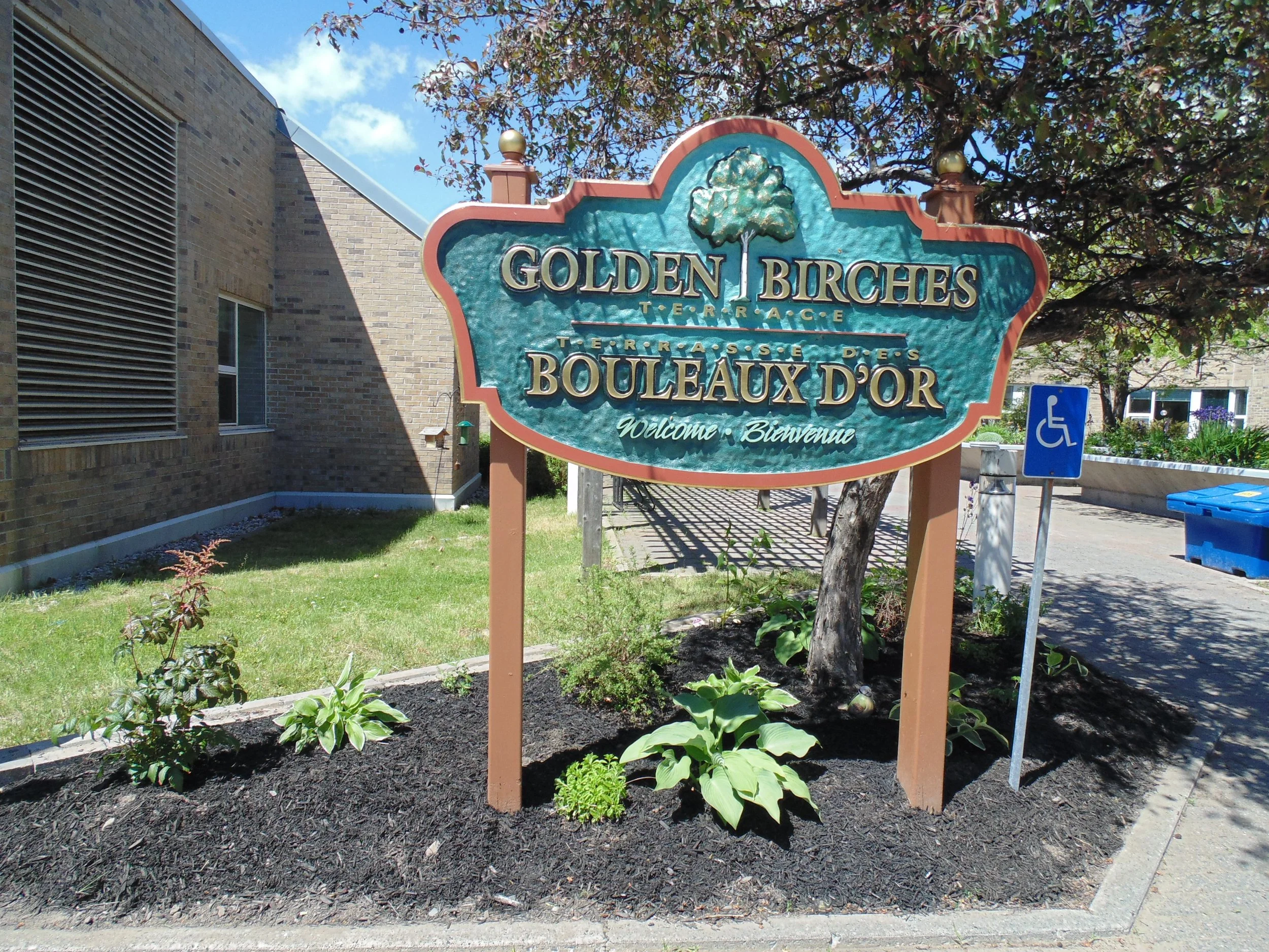 Garden Pictures 3.JPG