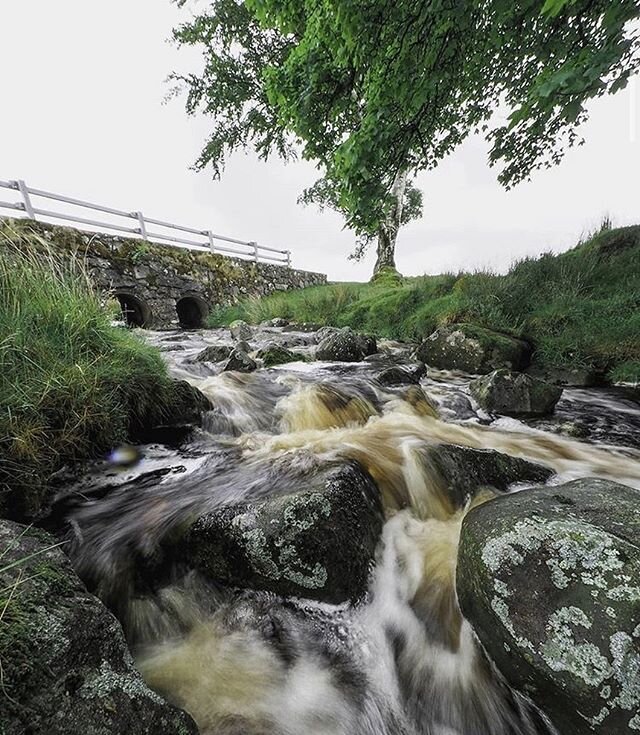 Saturday in the Park 🏞
#WicklowWear #befreeandexplore 
Get your gear 👉 www.wicklowwear.com
📷: @kevvhayes1972