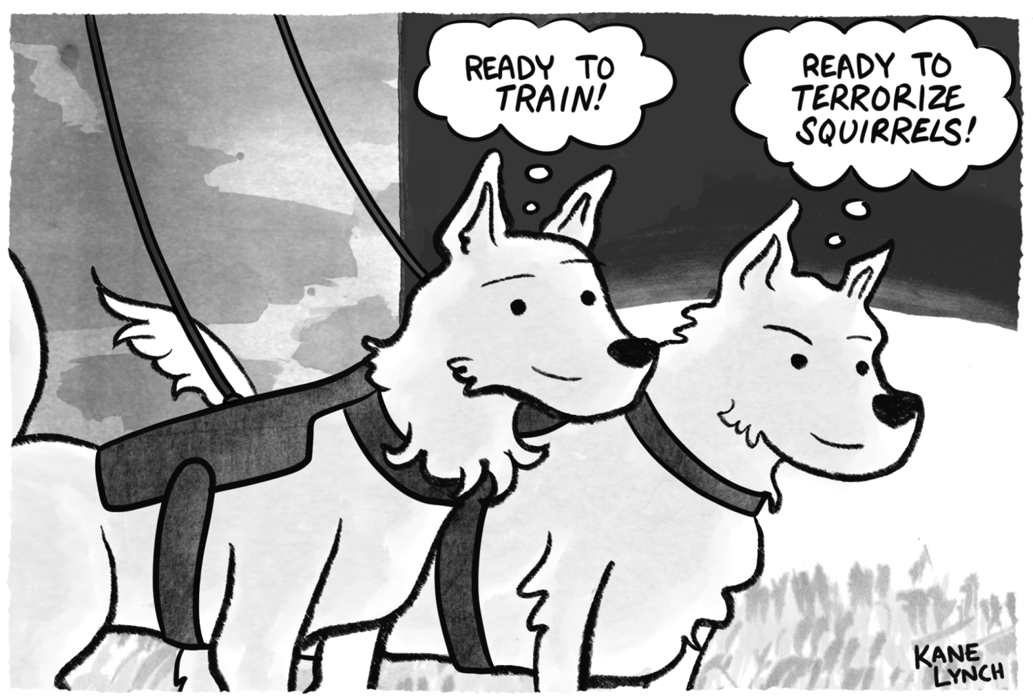 huskies.png