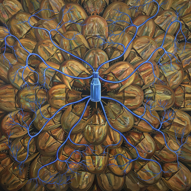 Marie Cameron | Critical Masses, A Very Low Tide