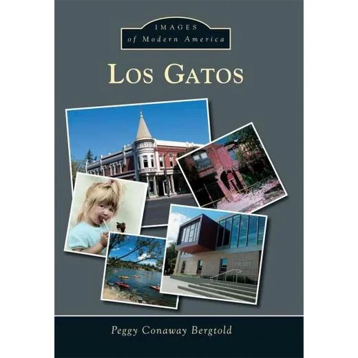 Los Gatos by Peggy Conaway Bergtold at New Museum Los Gatos.jpg