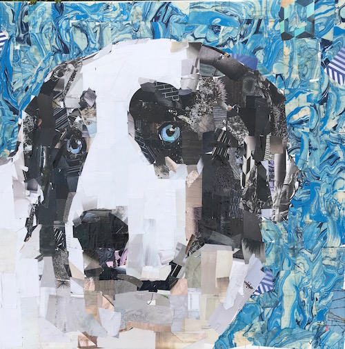 Collage Animal Portraits with Samuel PriceExhibitions, Education, Art,  Innovation, History, Bay Area, Los Gatos