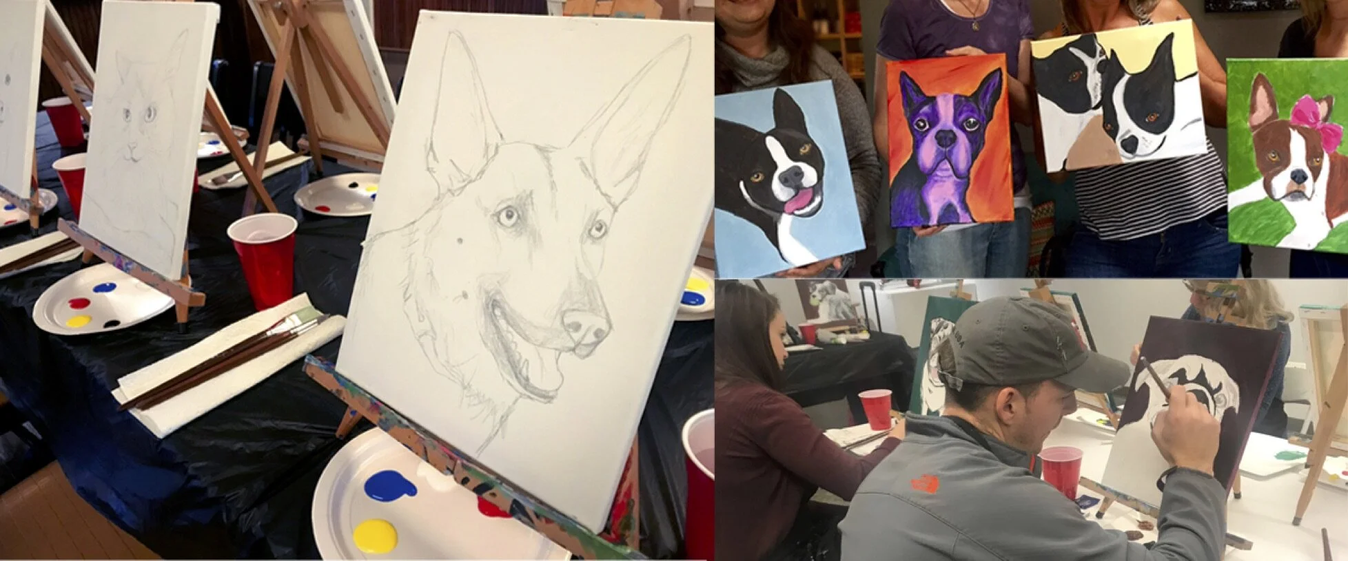 bluline_petportrait.jpg