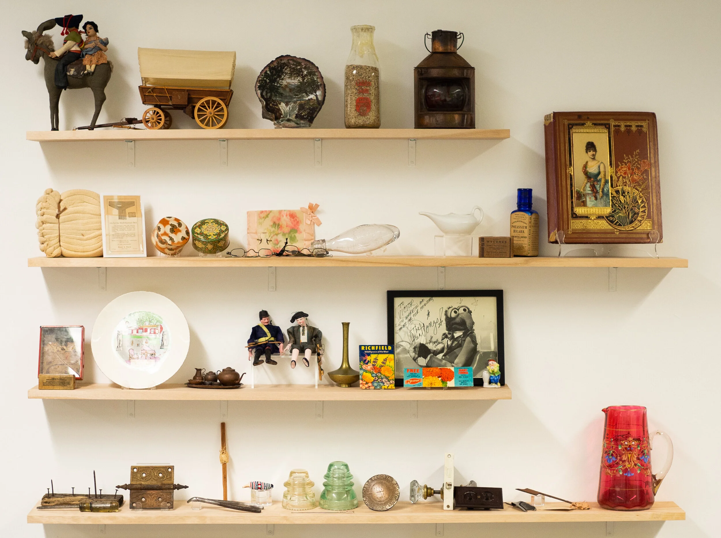 Cabinet of Curiosities