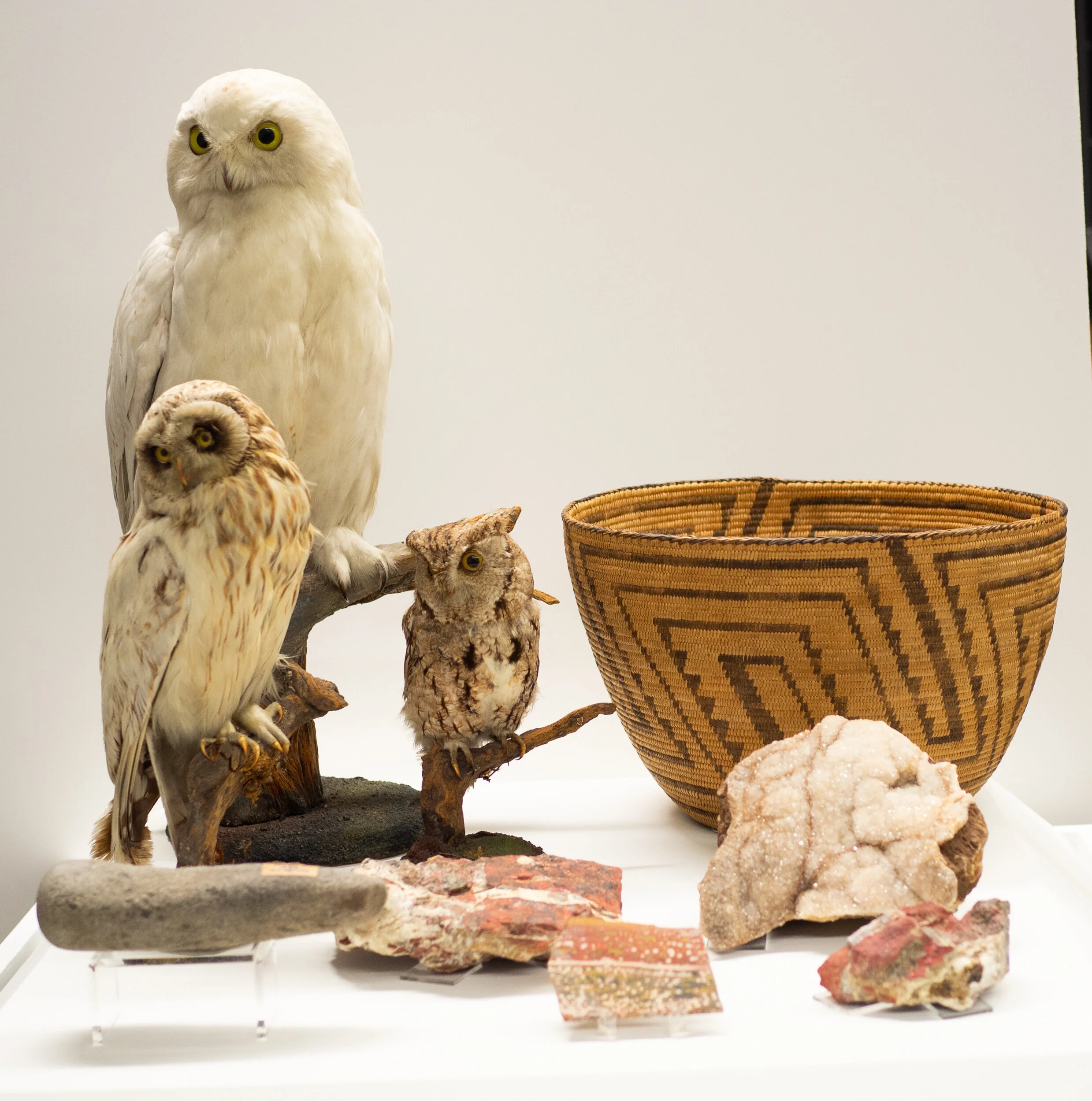 History of NUMU