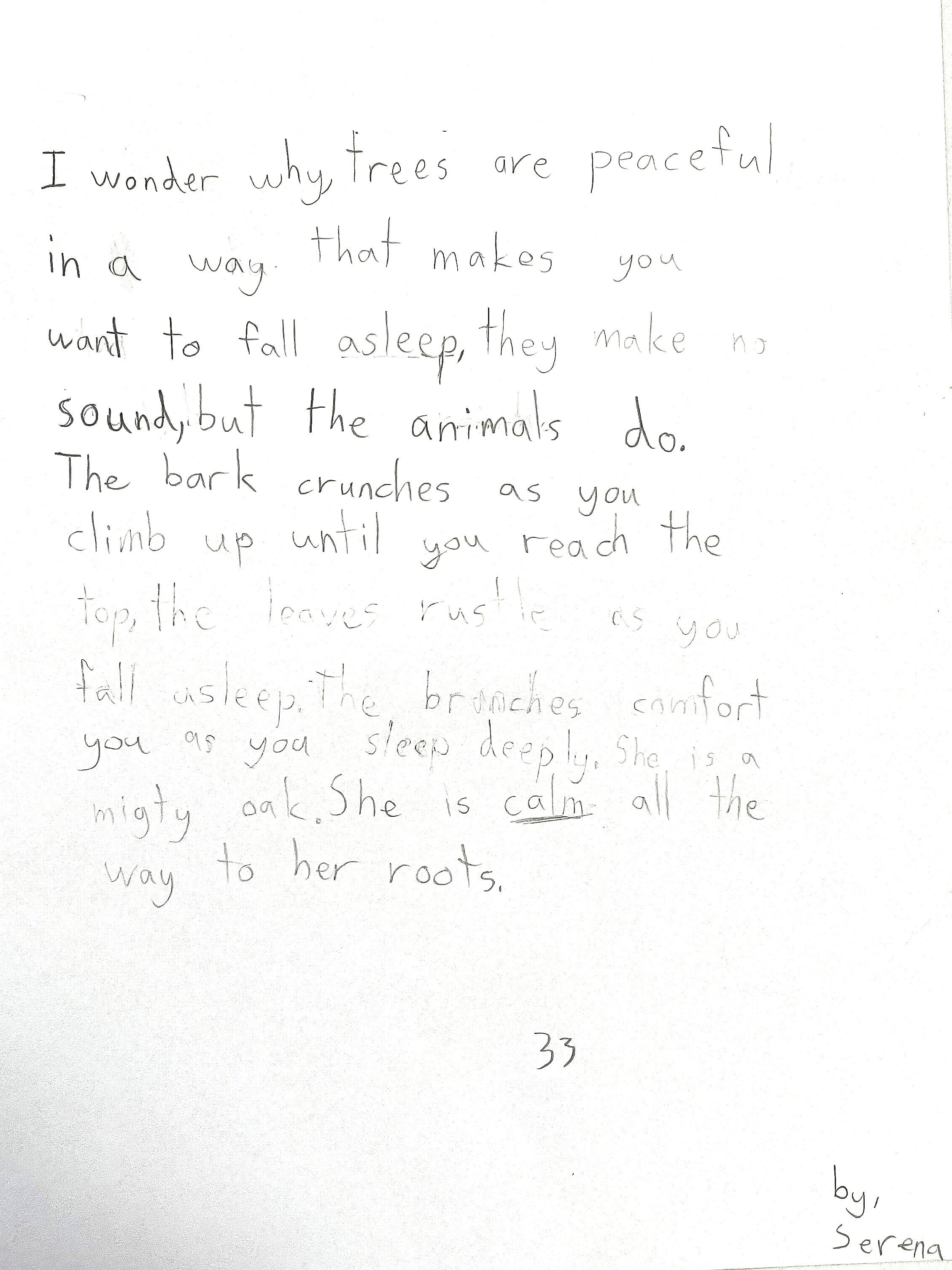 Poem written by Serena, Age 8, Inspired by Jane Olin's Photograph "Intimate Conversation 33"