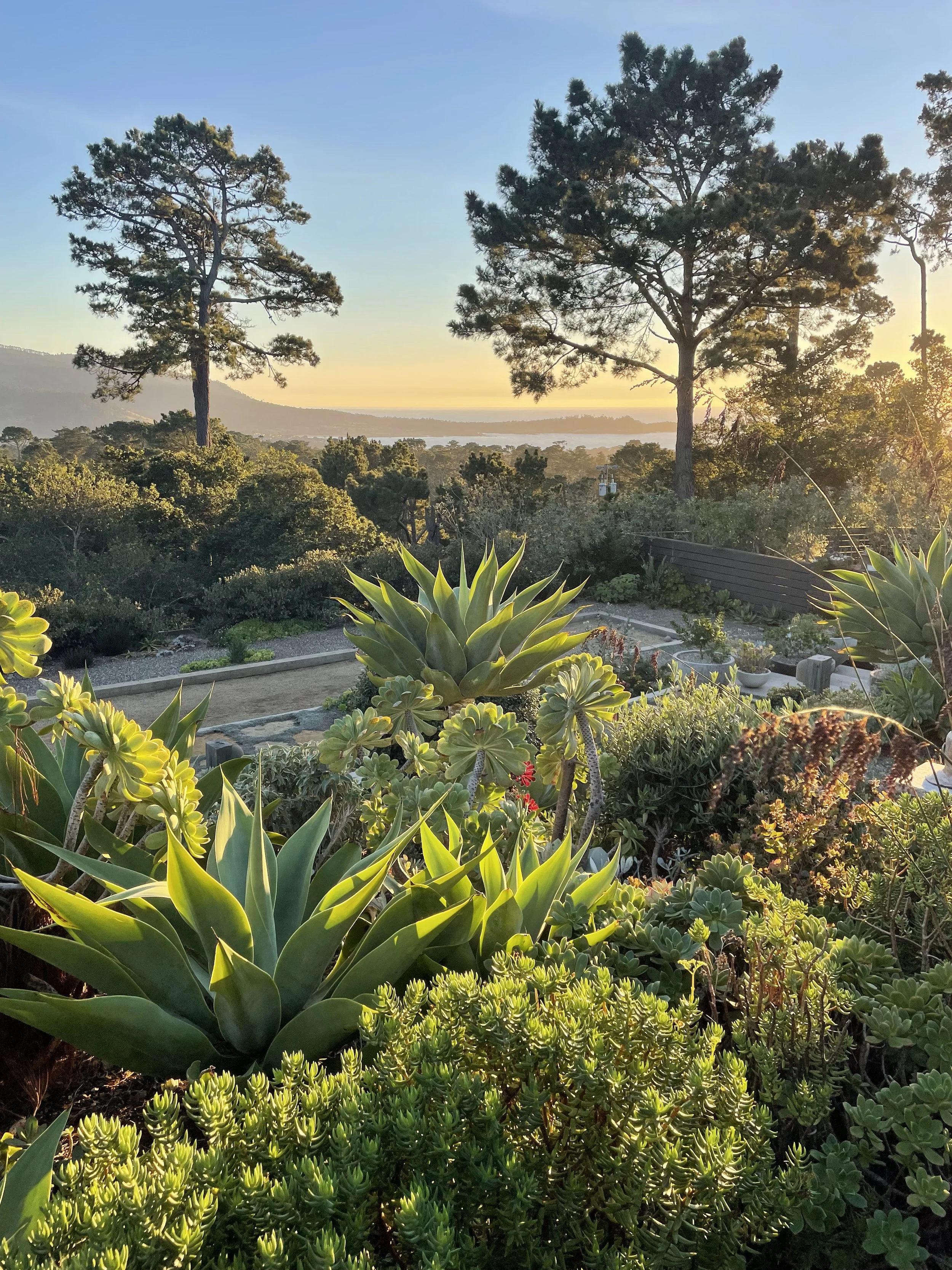 Circle Event: Studio Visit + Dinner with Bernard Trainor