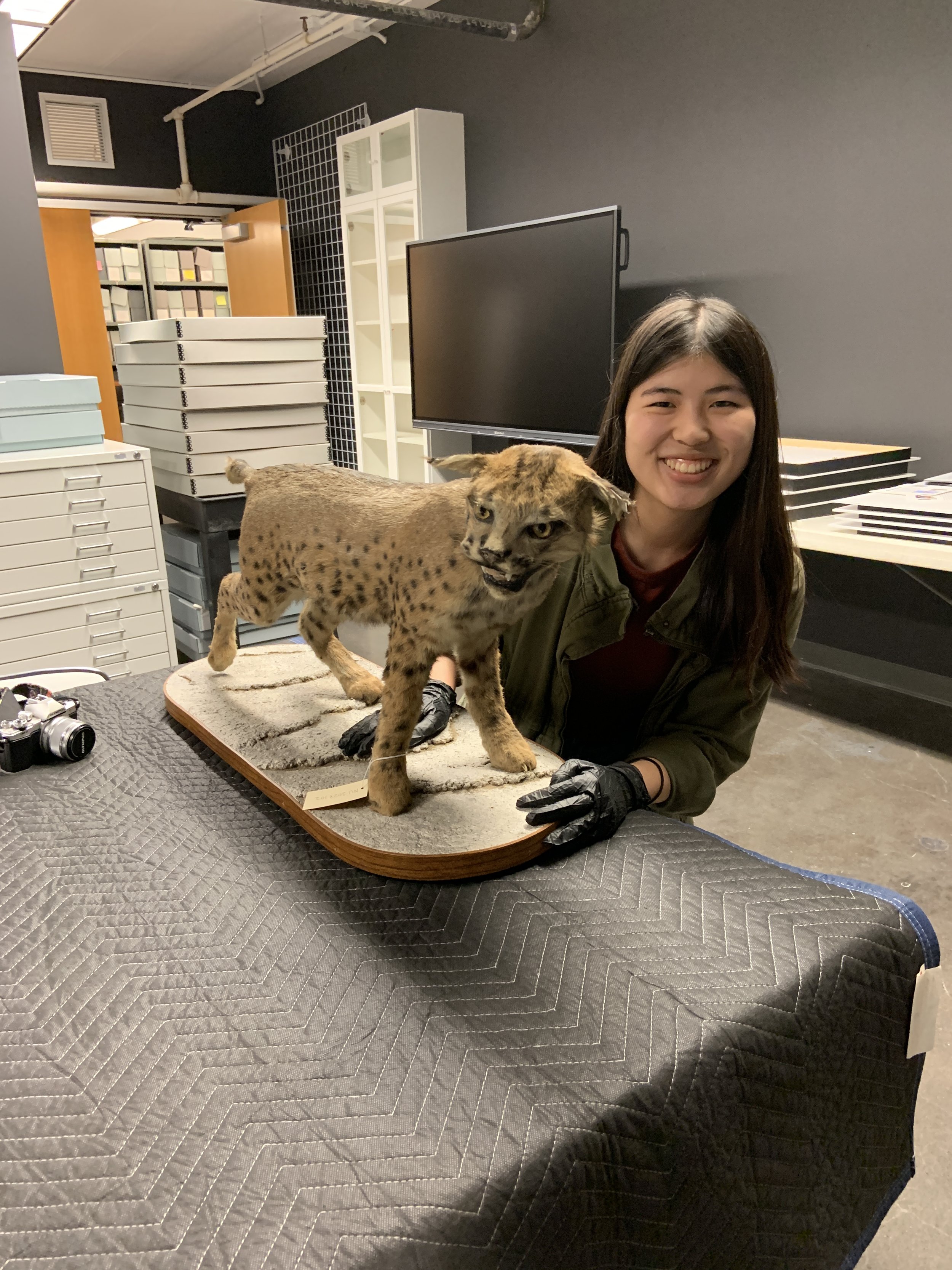 Intern Spotlight: Hana Lock